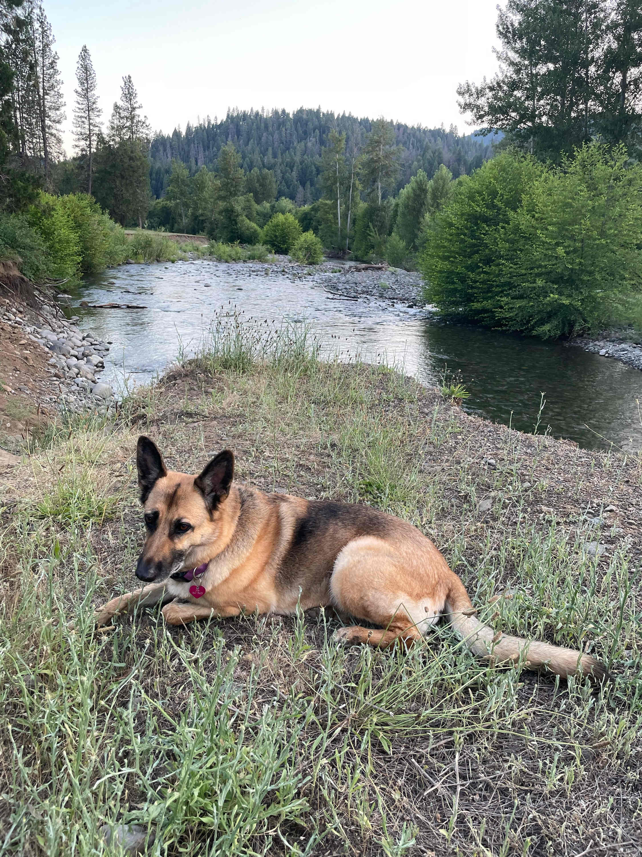 Kosk Creek Campgrounds
