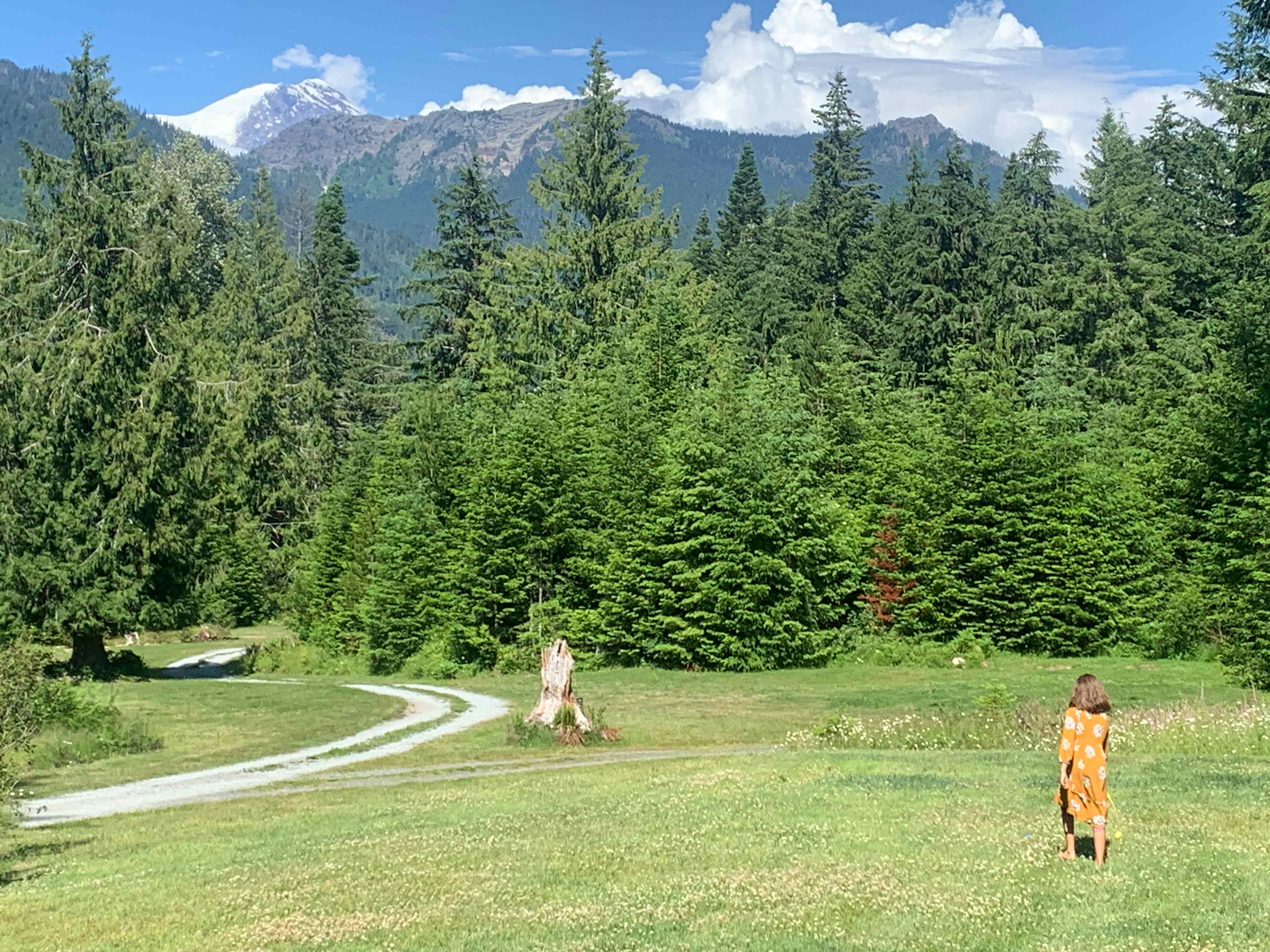Mt Rainier Reconnect