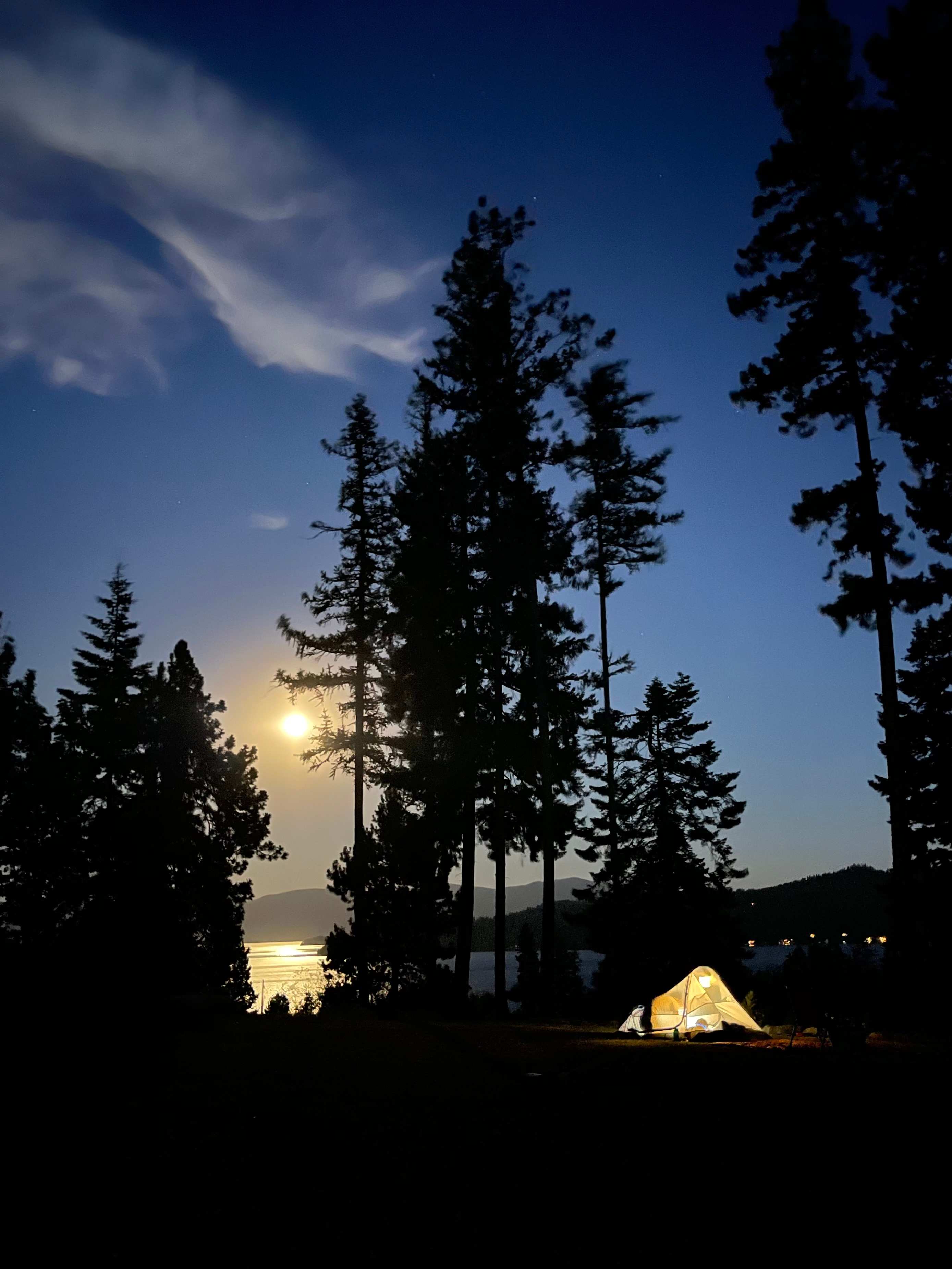 Lakeview Majesty