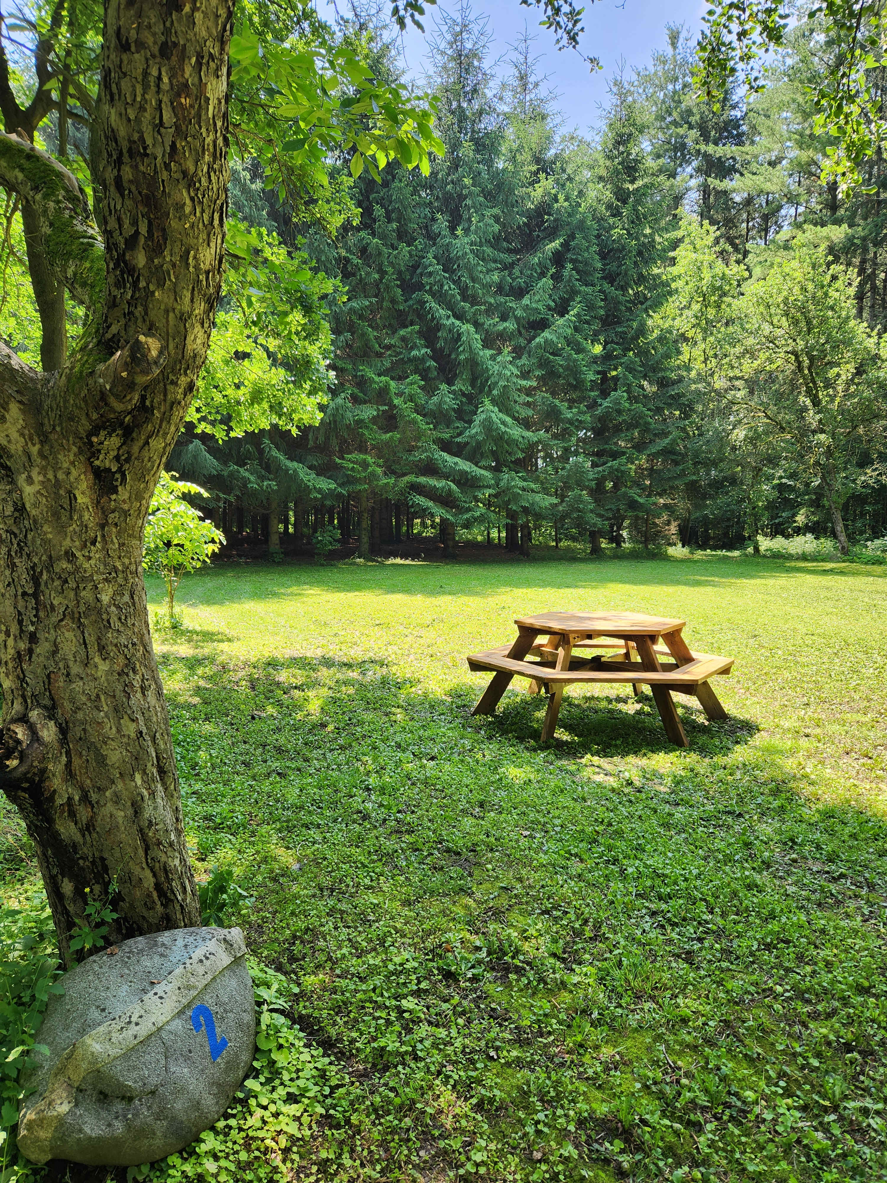 Site 2