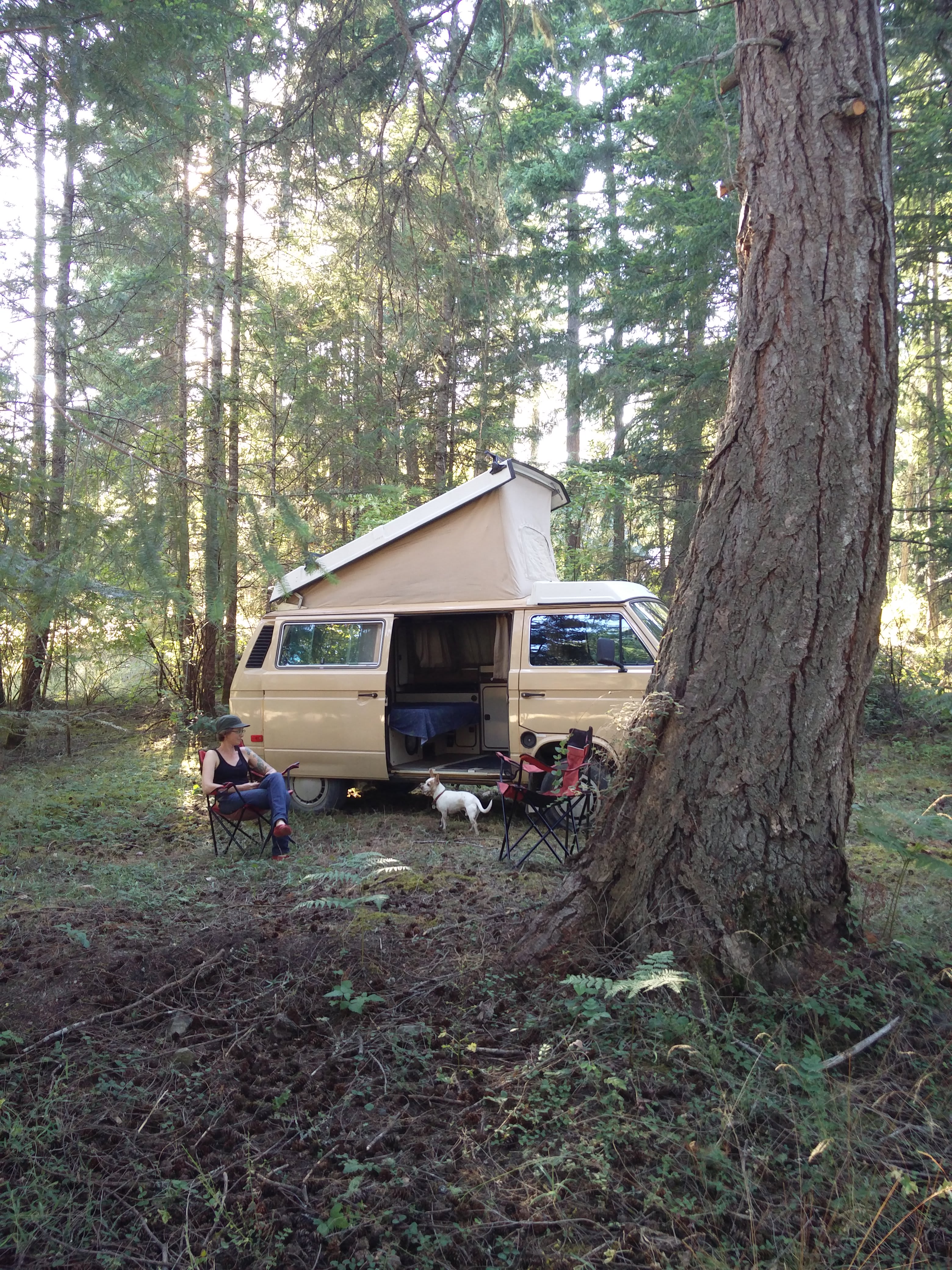 Site 3