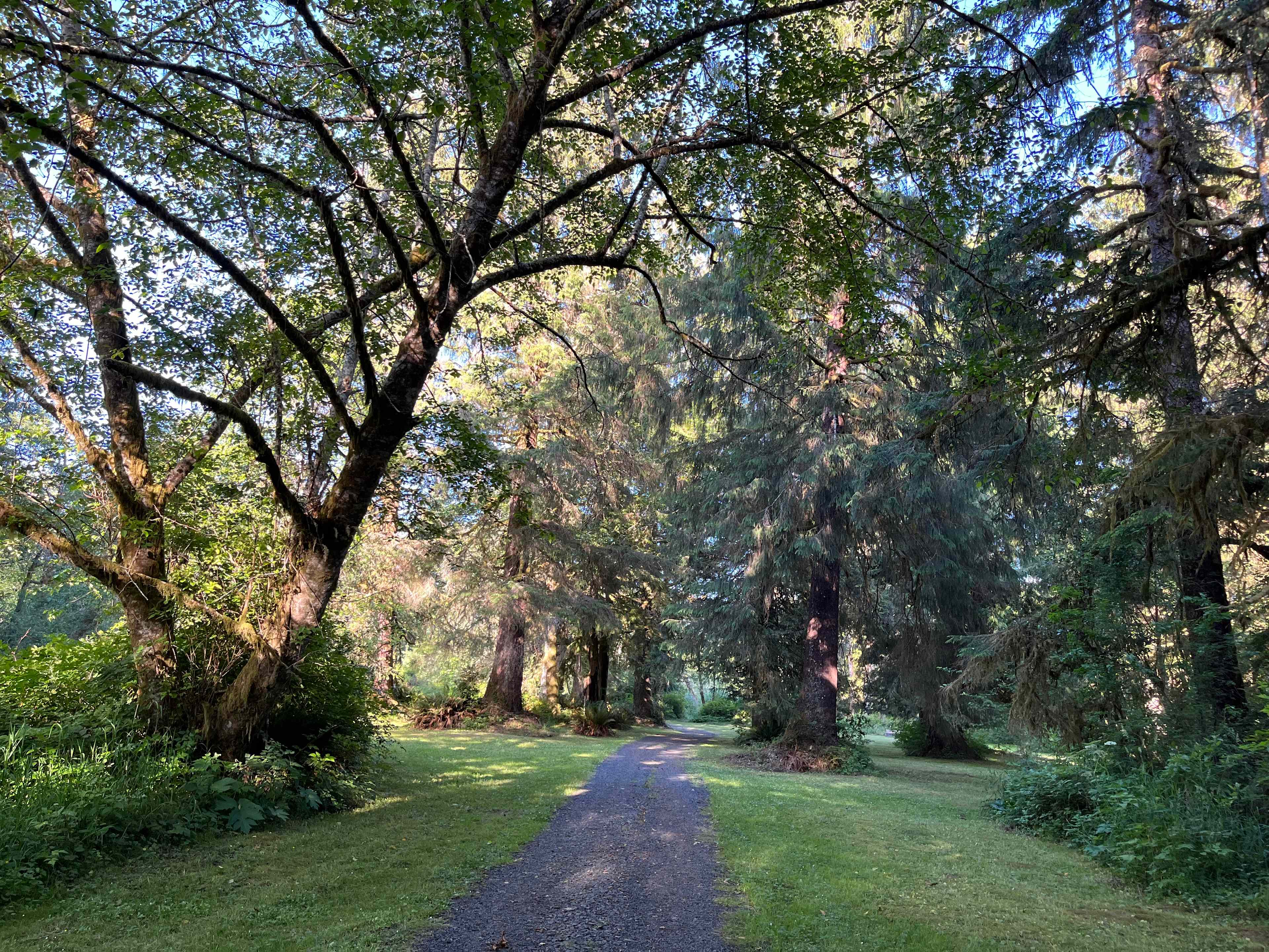 Williams Park campground