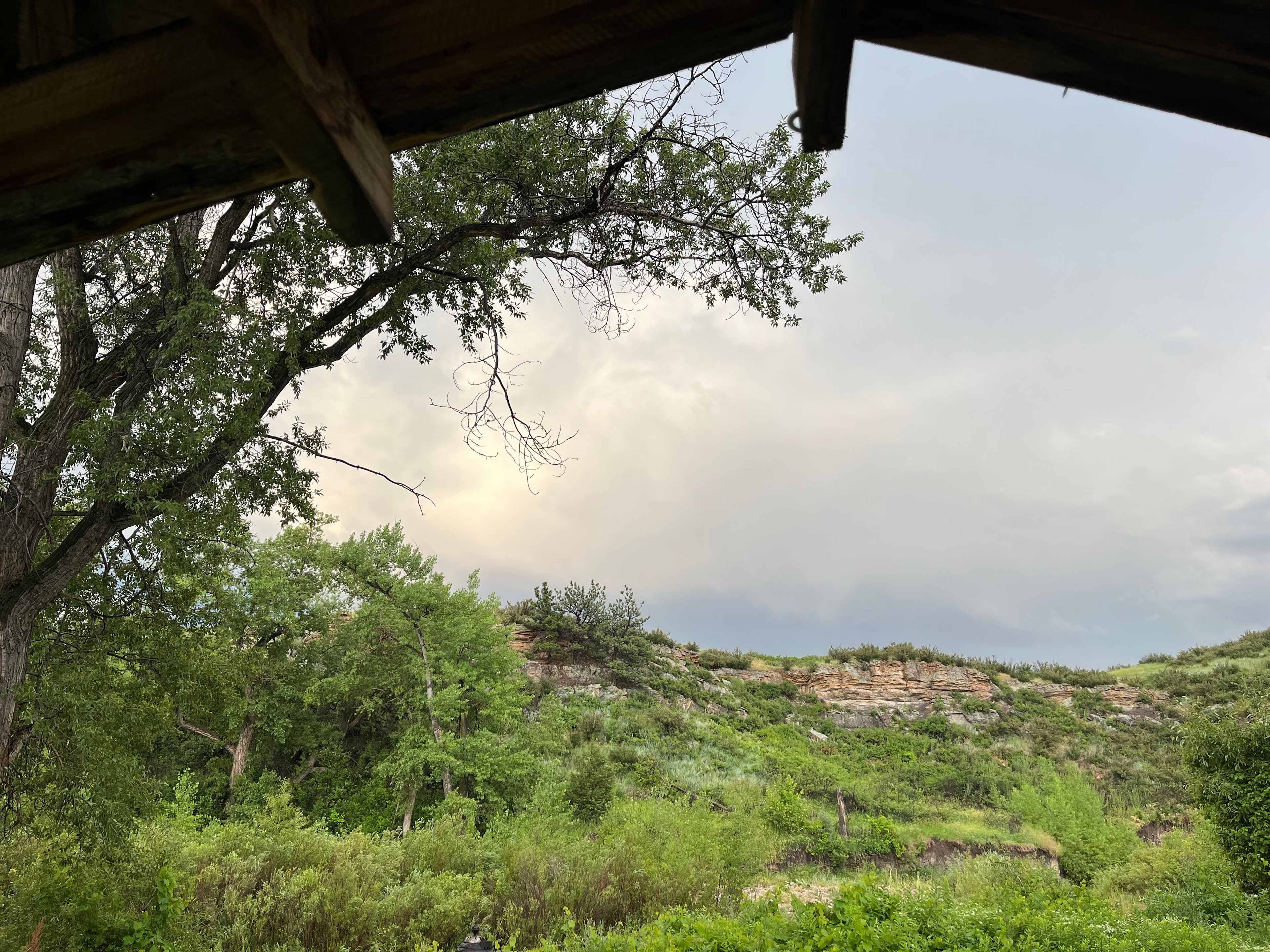 Picture of the site