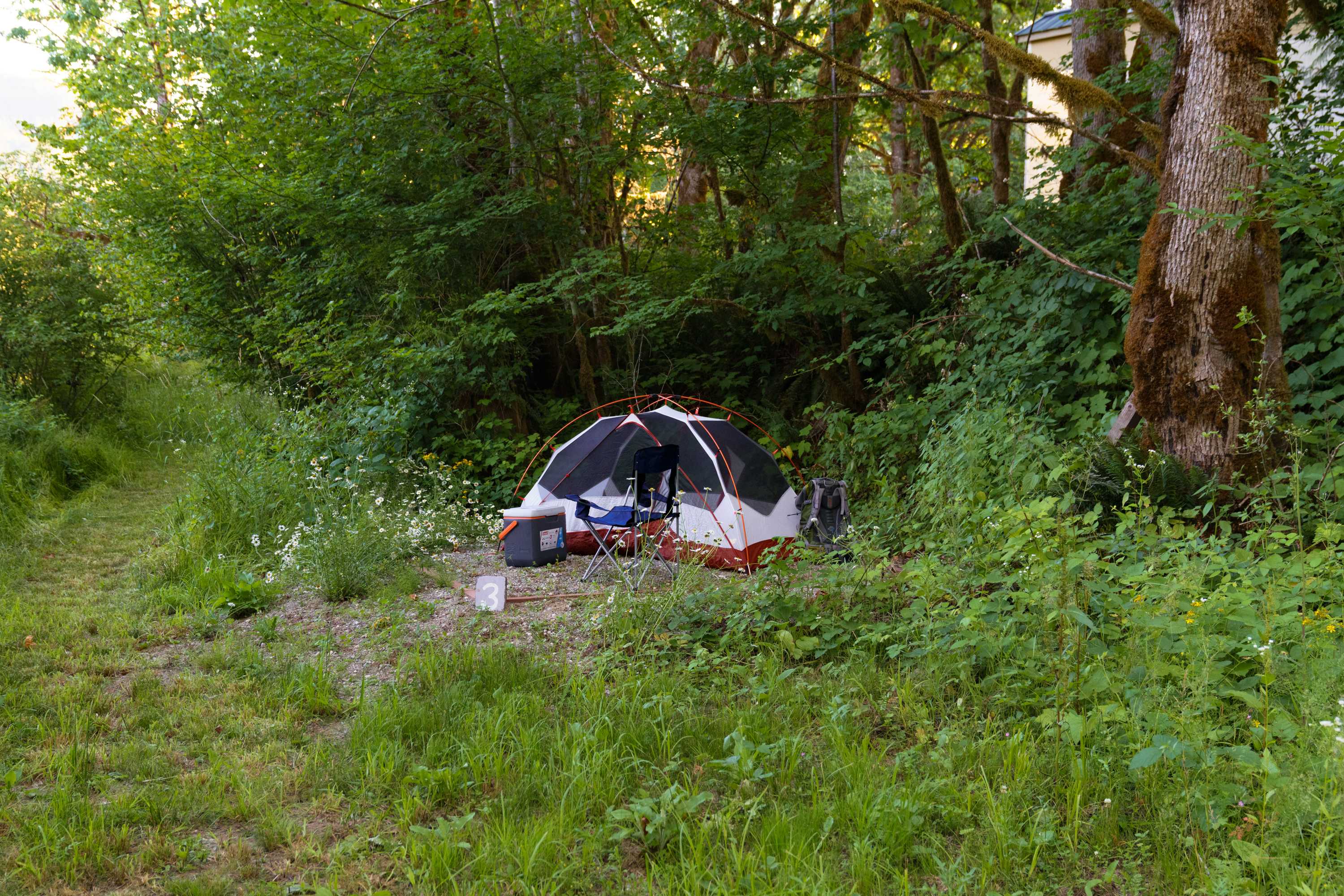 Hidden gem of a place to camp!