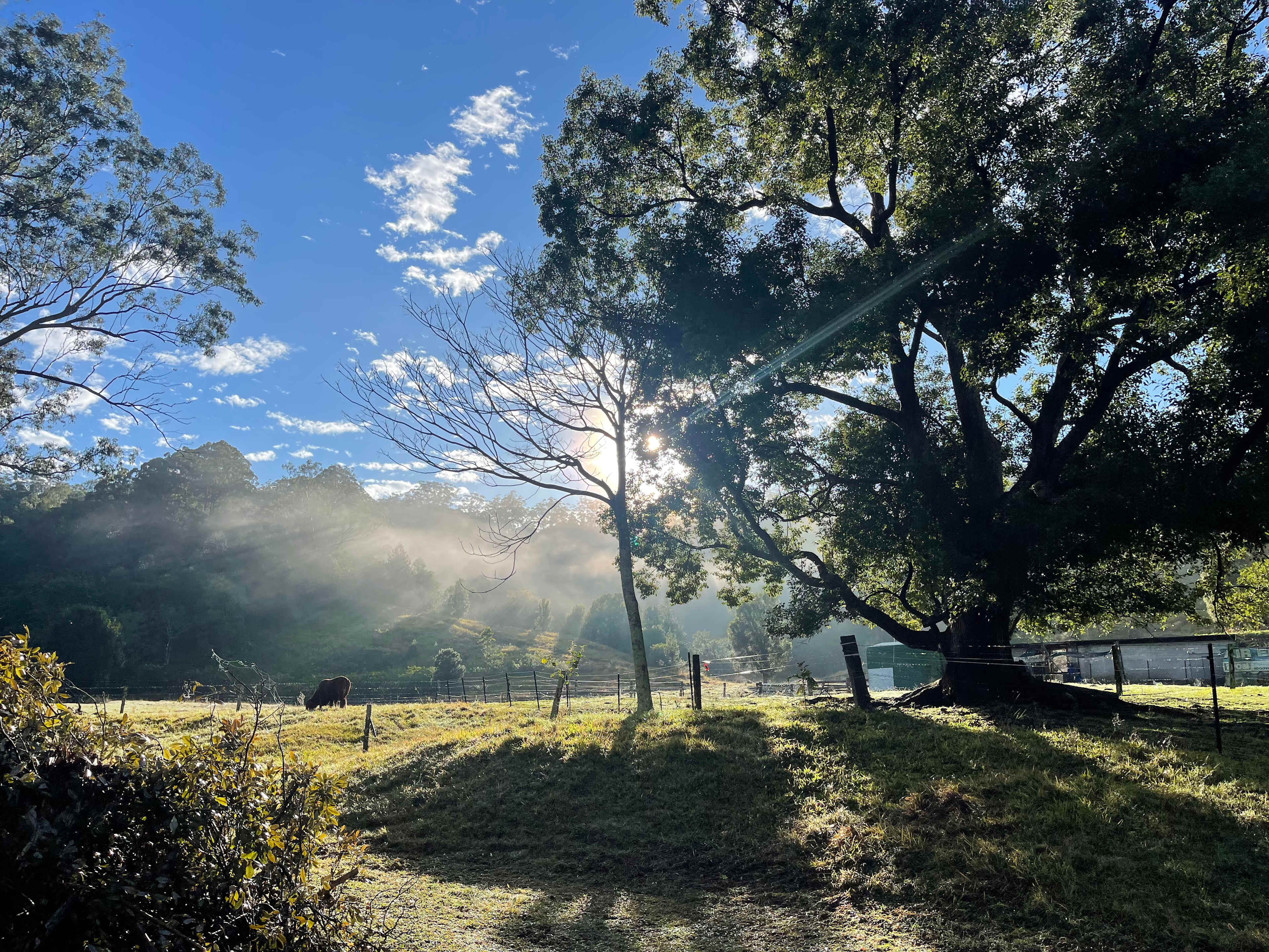 Cedarton Farm Stays