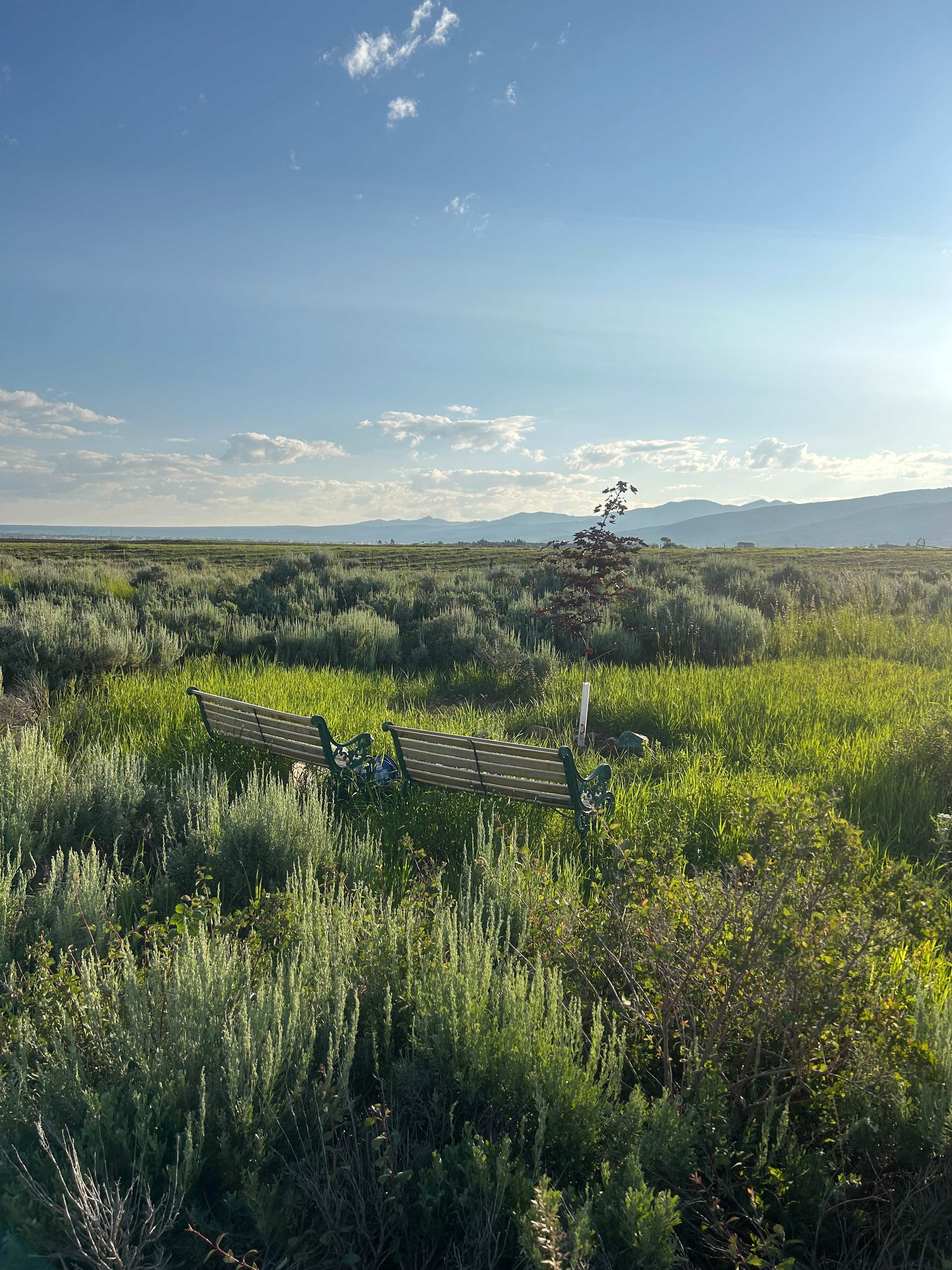 Darby Canyon View