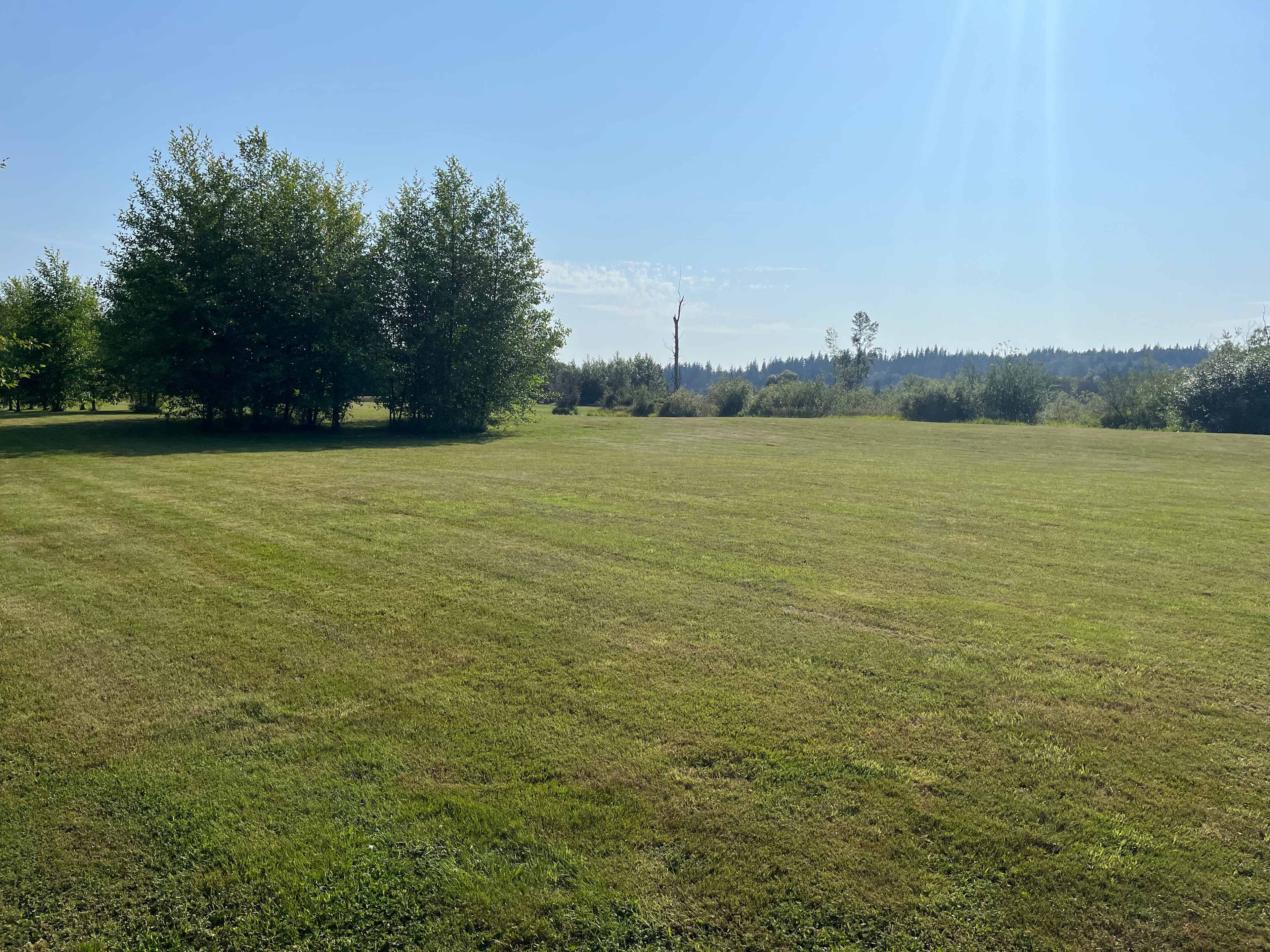 Beaver Meadow