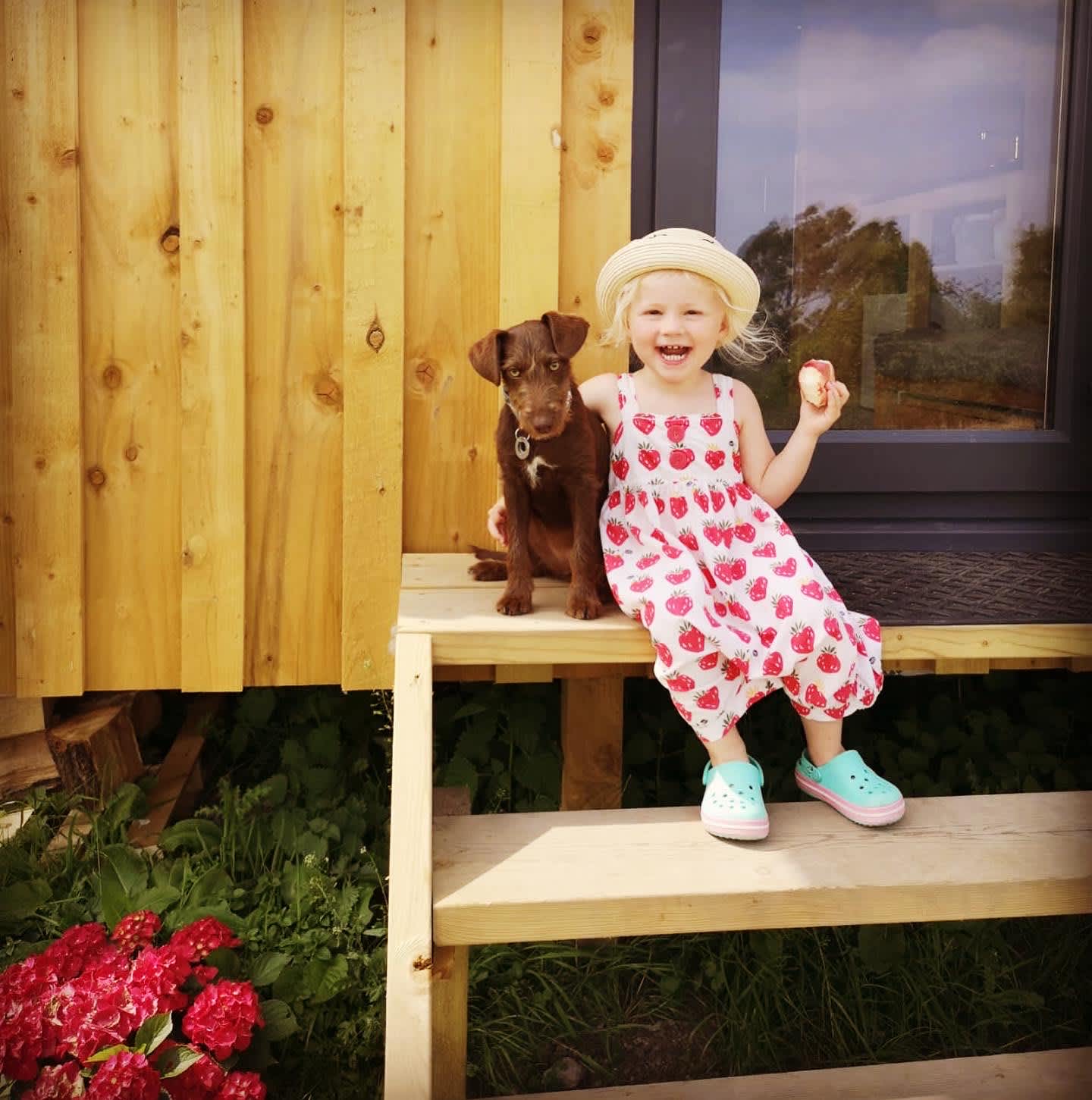 Balwen Shepherds Hut
