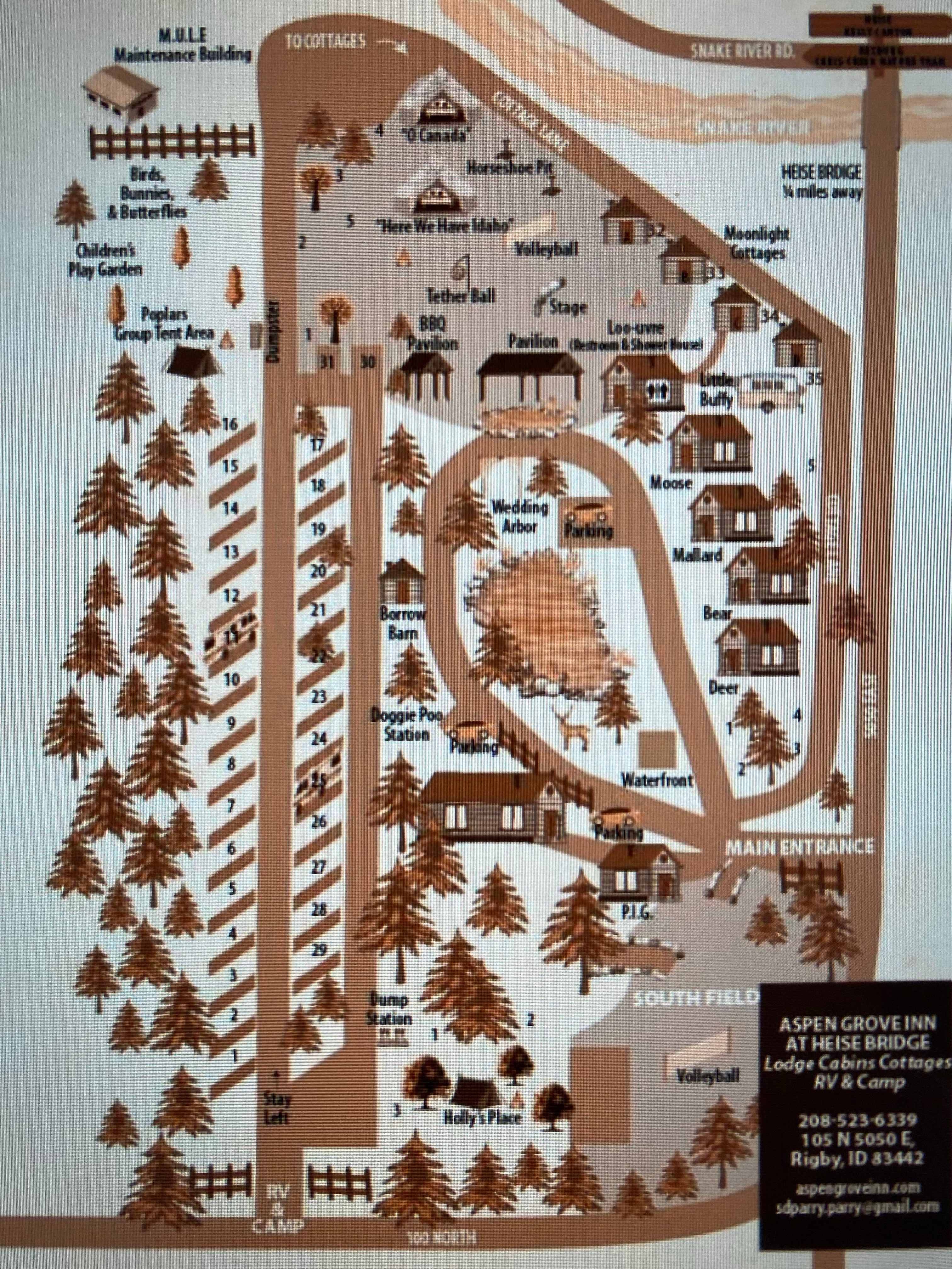 Picture of the site