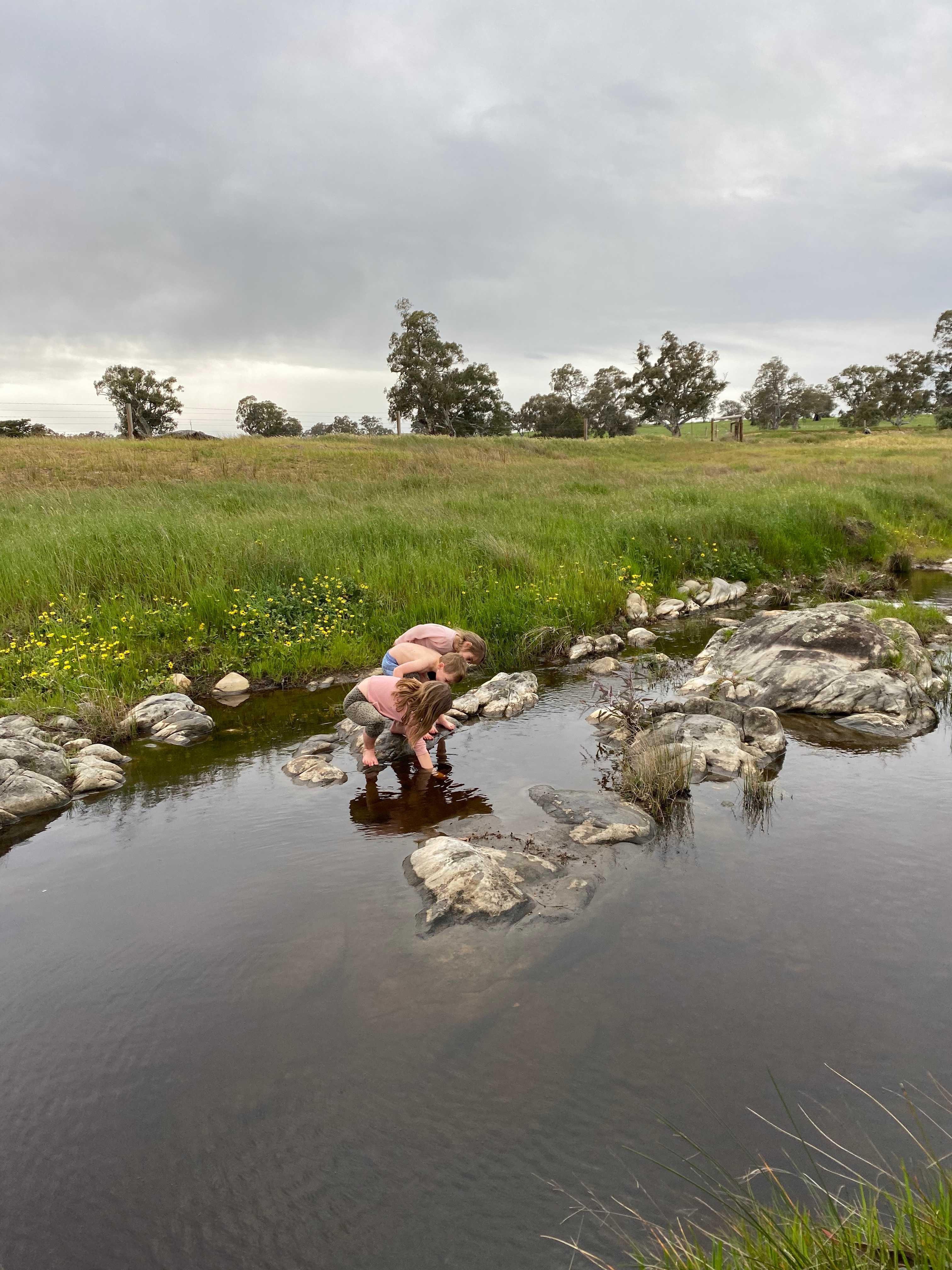 The Valley of Eden - Barossa