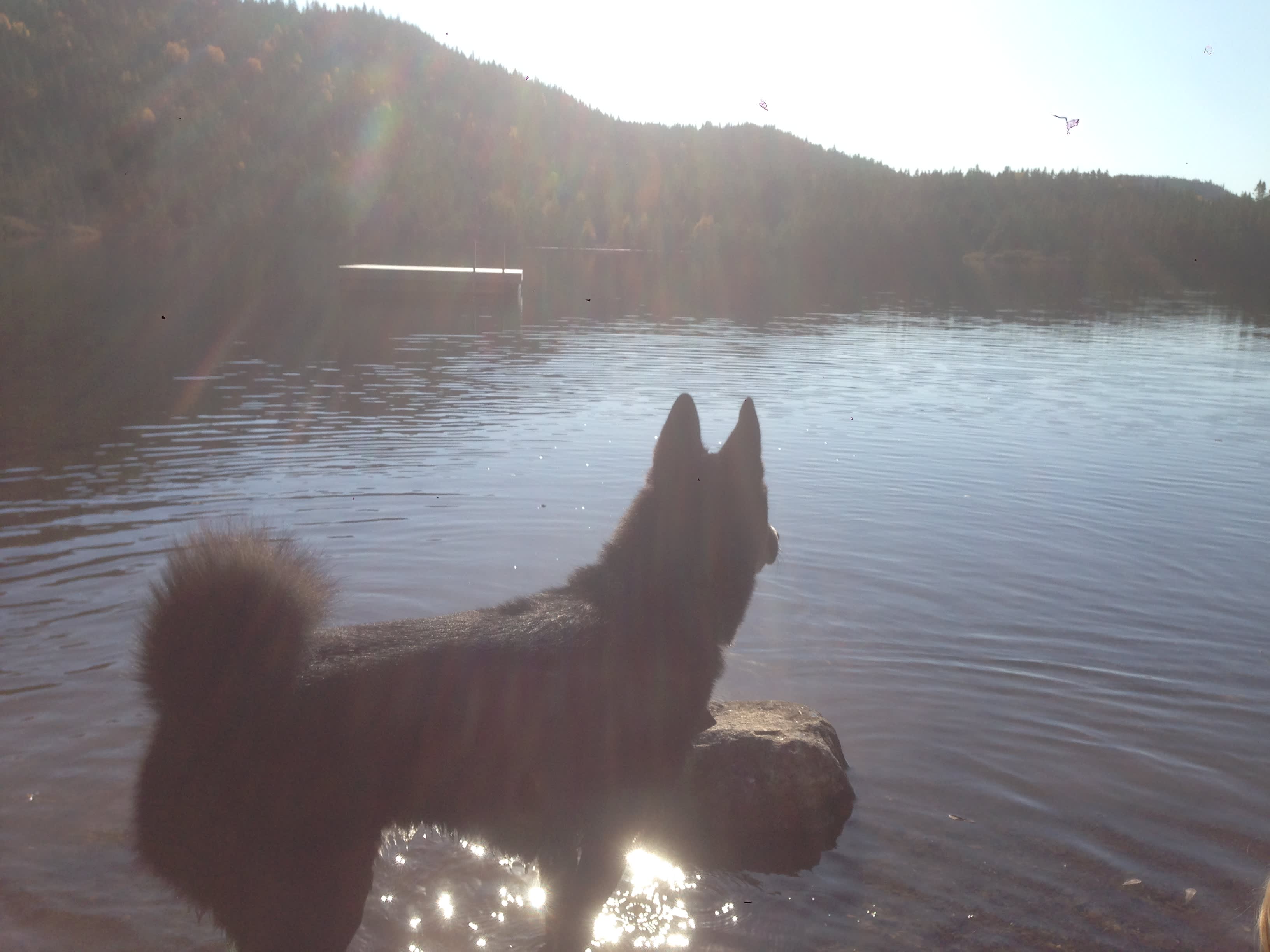 Best Kind Adventures