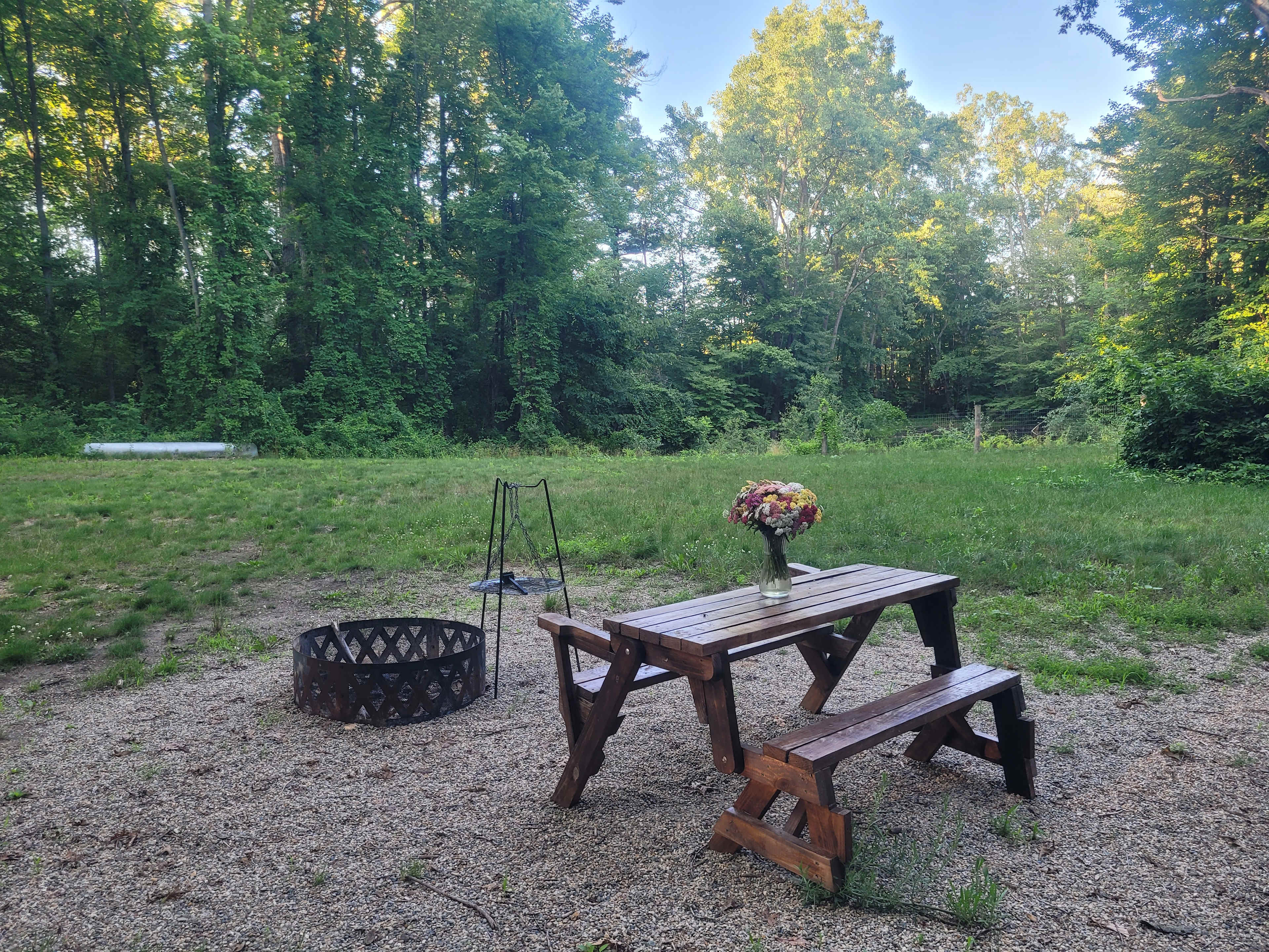 6+ Acre Rustic Forest Camp