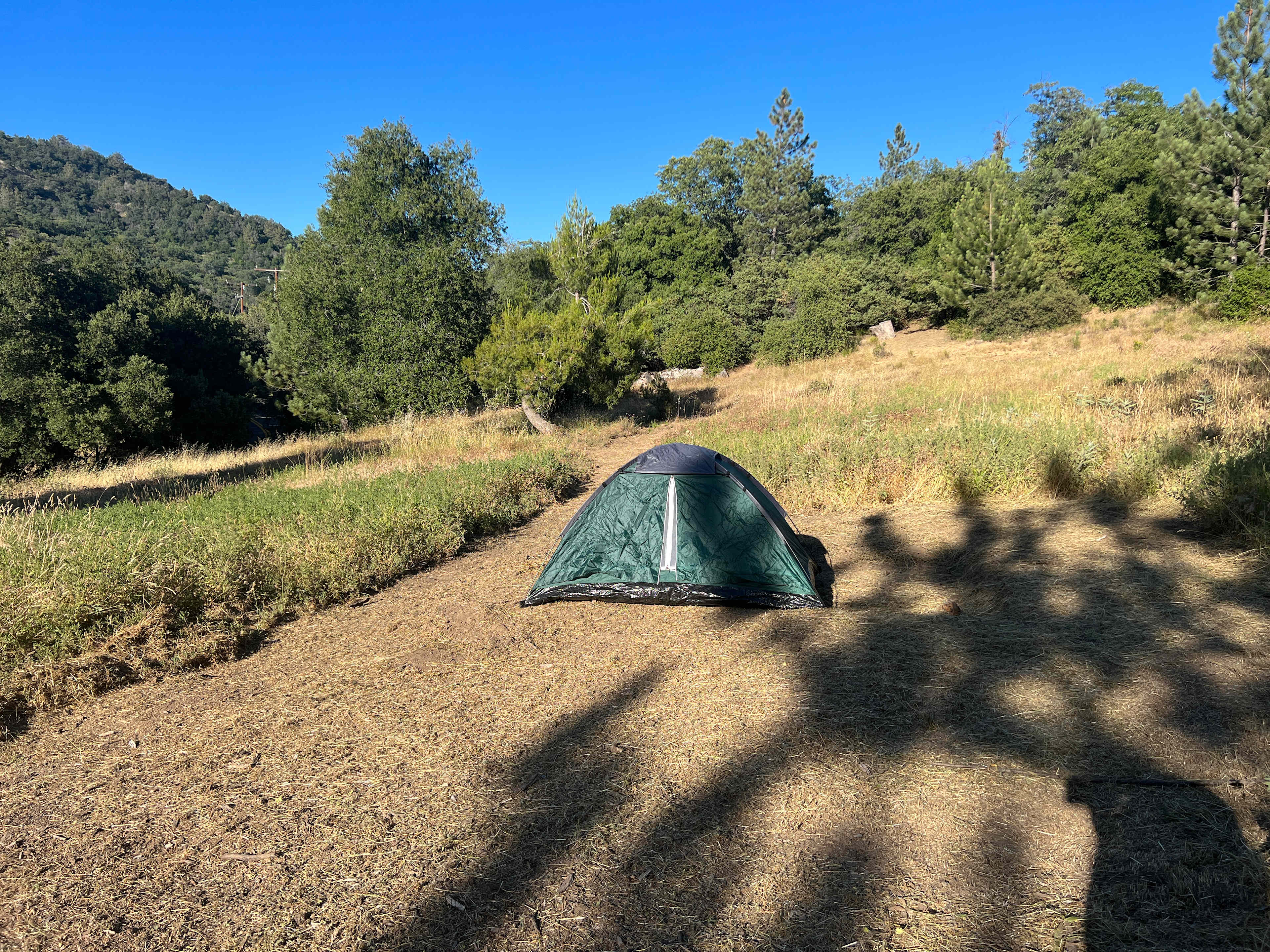 Hipcamp in Nomad Meadow 