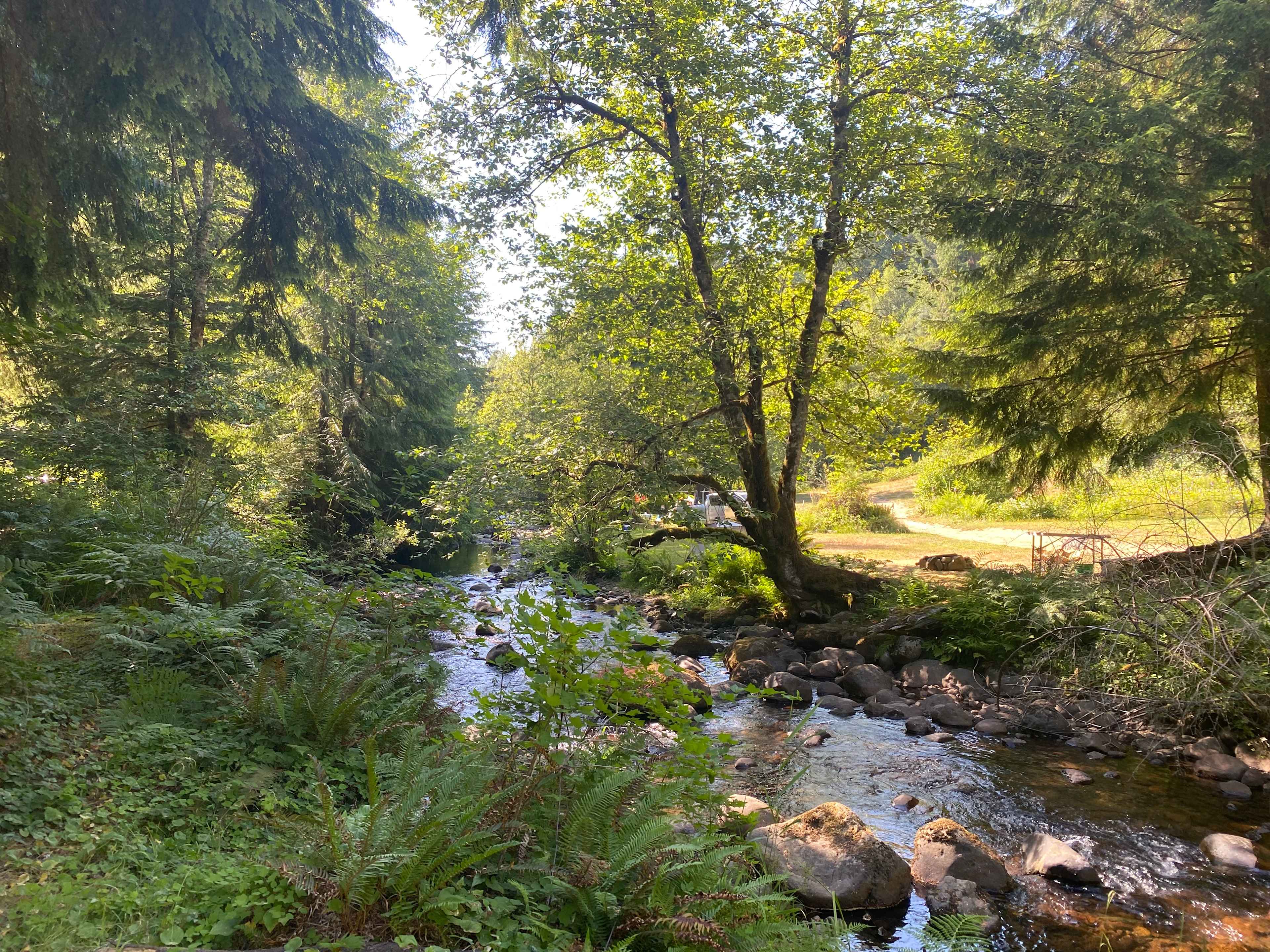 Camp Cedar Creek ⛺️🌲🚐