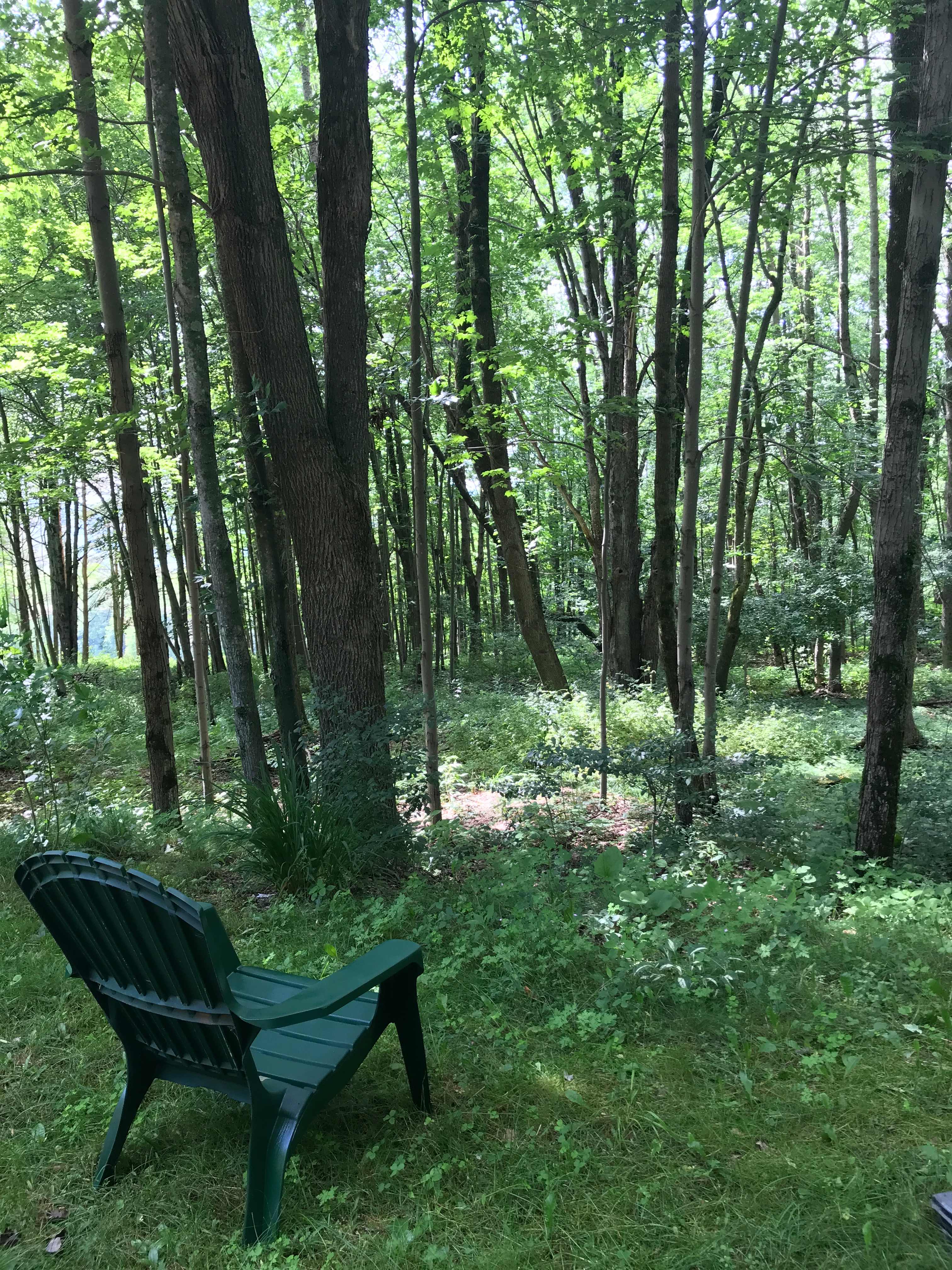 Chipmunk Hollow Soul Sanctuary