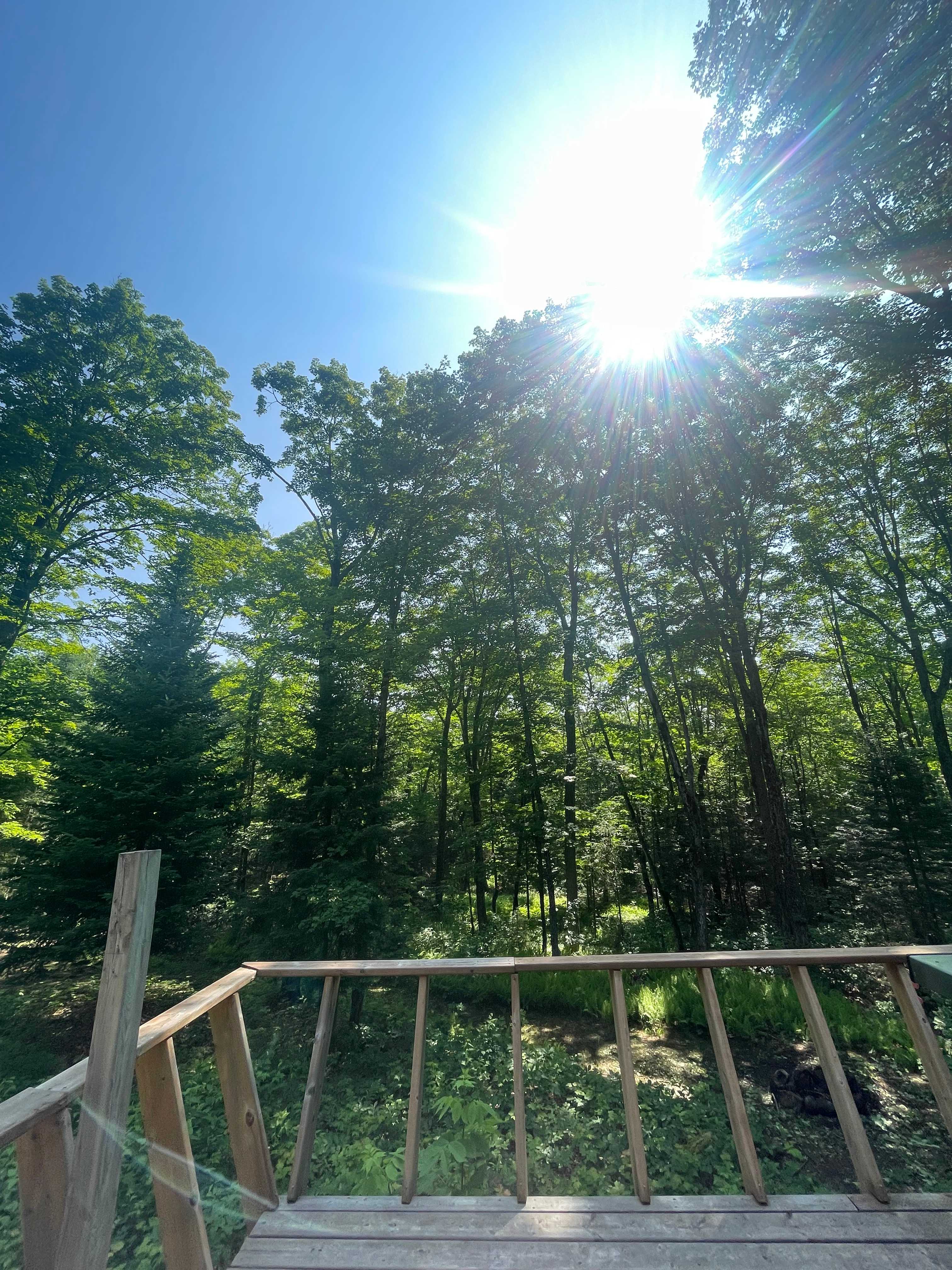 Loved the view right outside the front porch. 