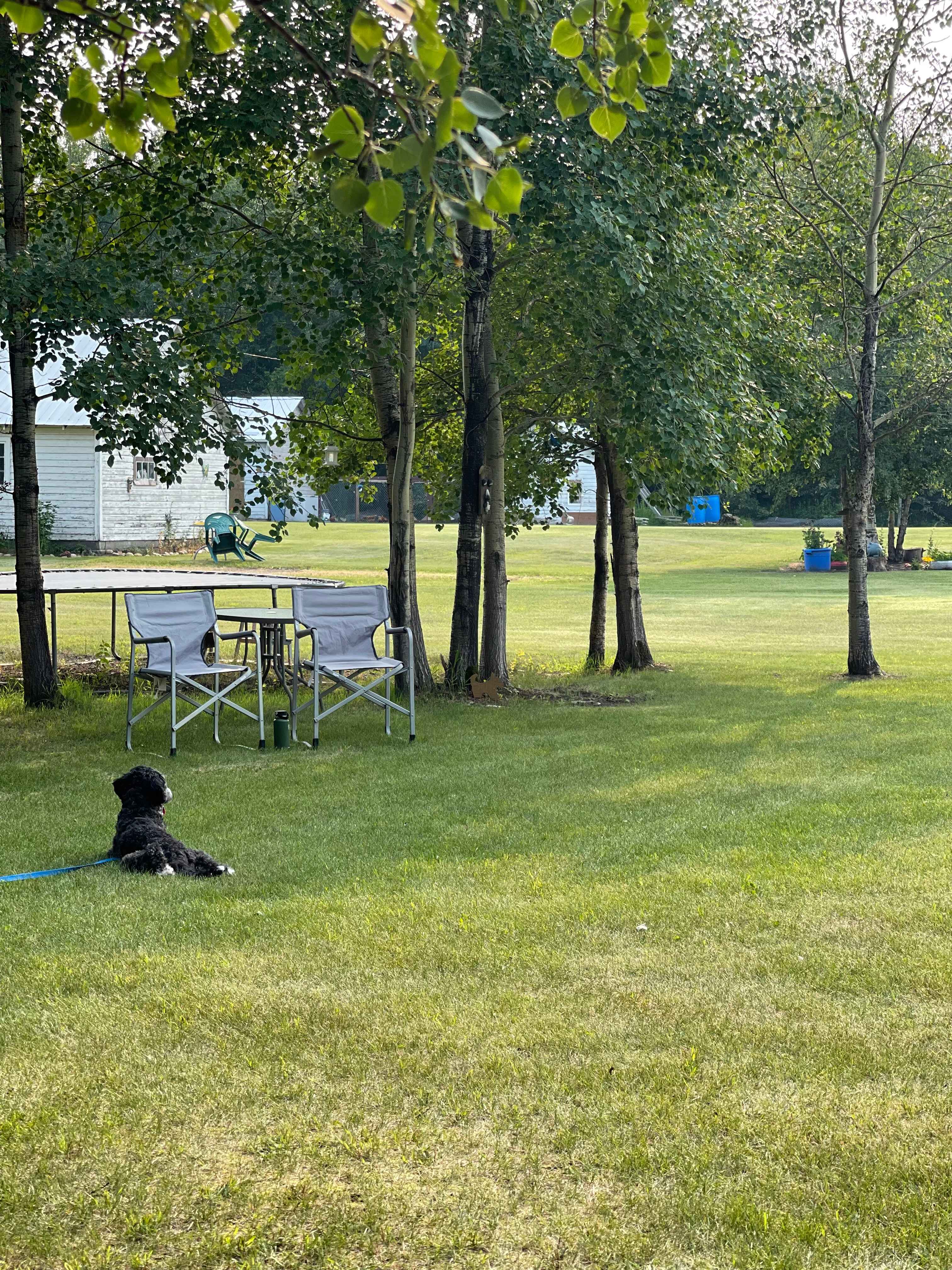 Beautiful Yard