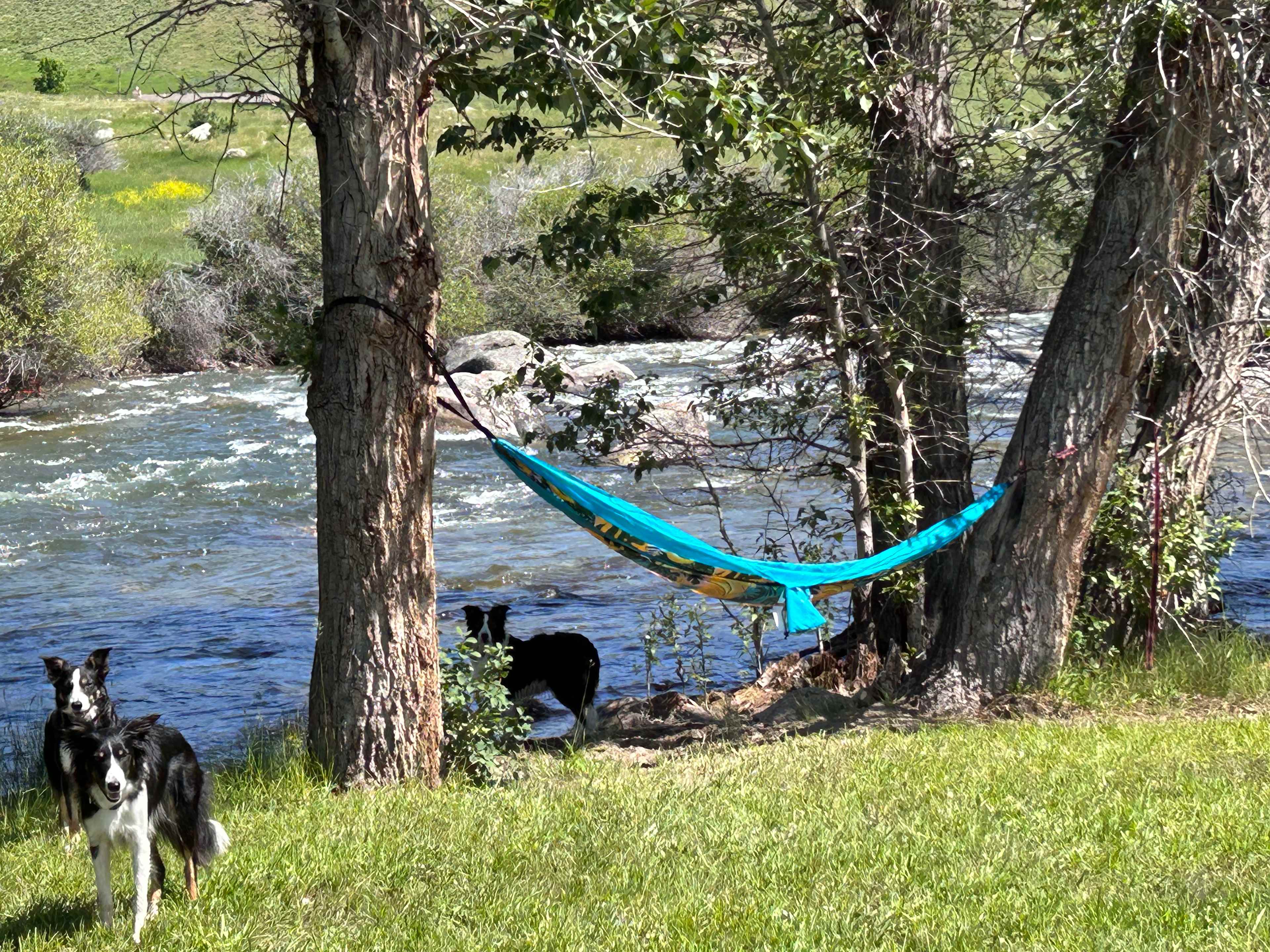 Ellison Ranch