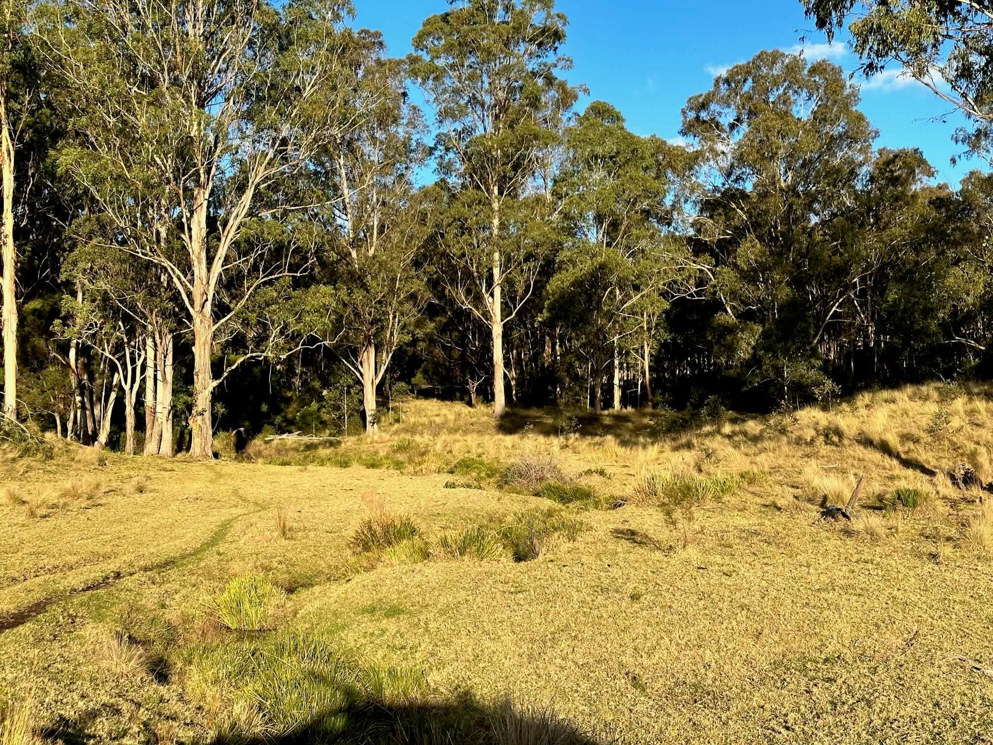 Aroona Farm