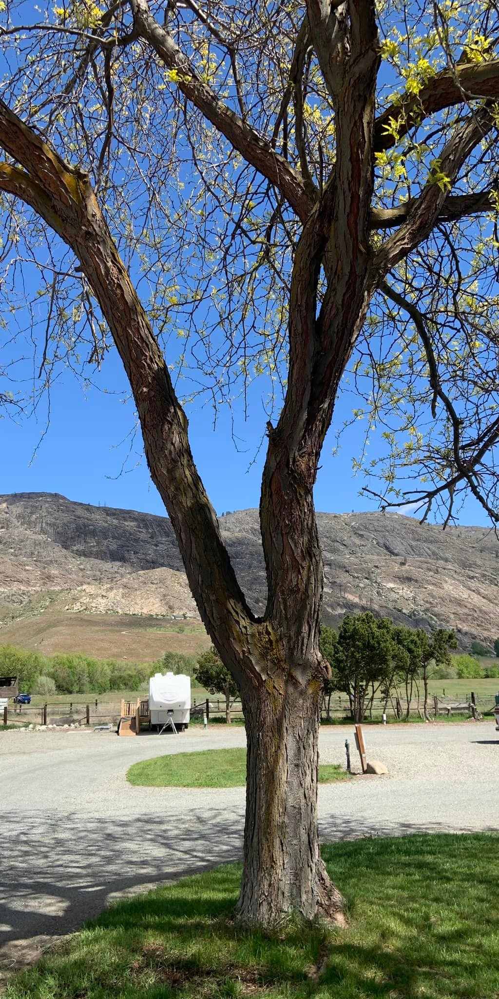 Margie's Riverside RV Park