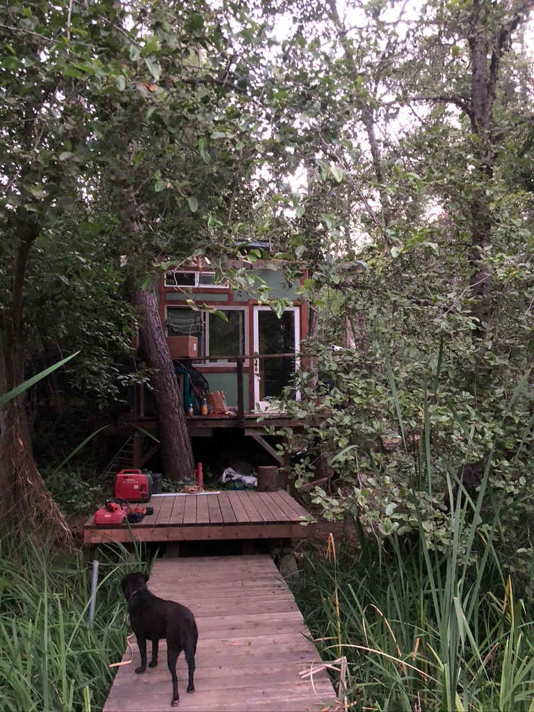 The cabin peeks out.