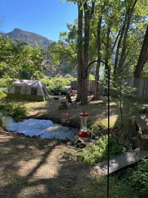 Look for the hummingbird feeder - You'll know you are in the right spot!