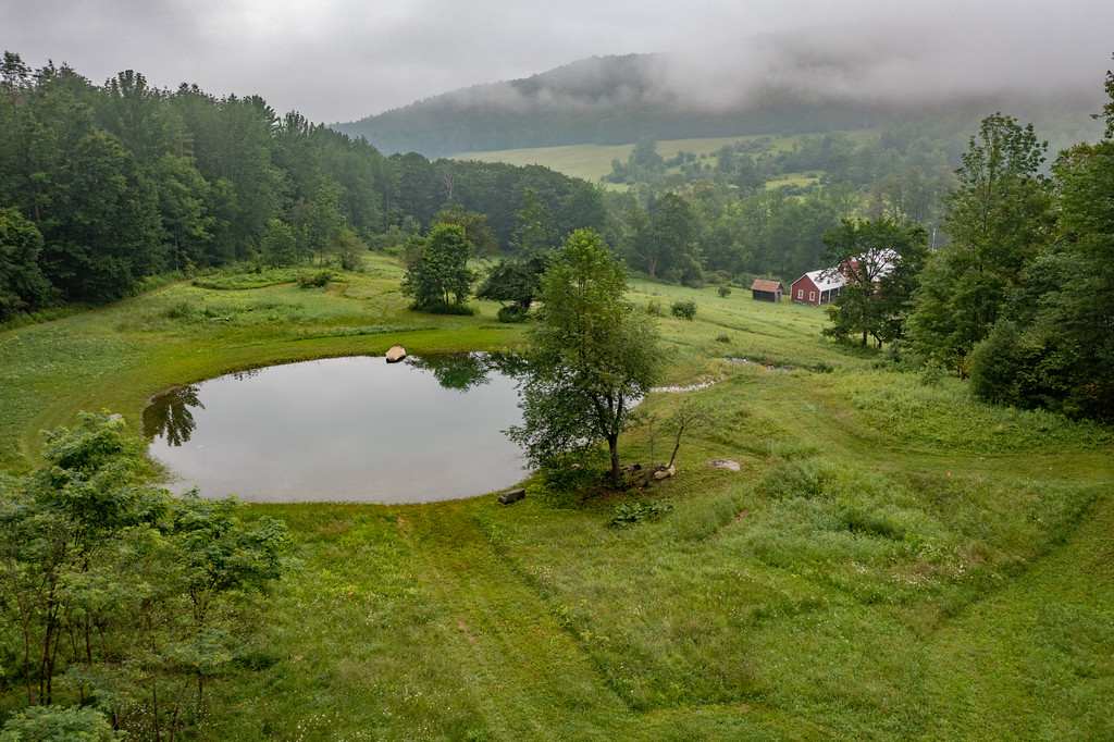 Wooded Farm Land