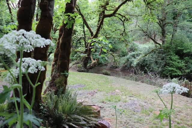 A beautiful campsite located just off of the water in an isolated location. Perfectly quiet with lots of nature's sounds!
