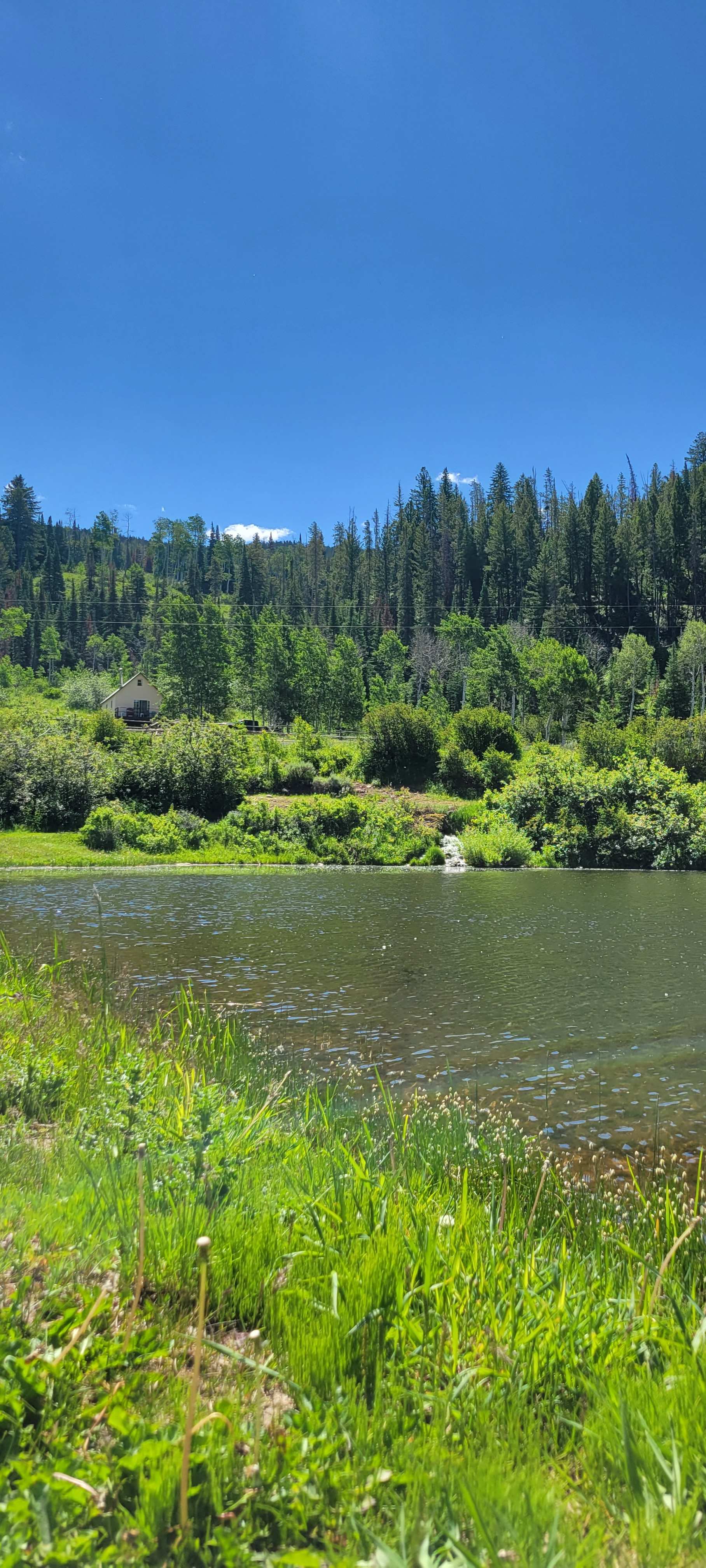 Cabin on the river at Welder Ranch