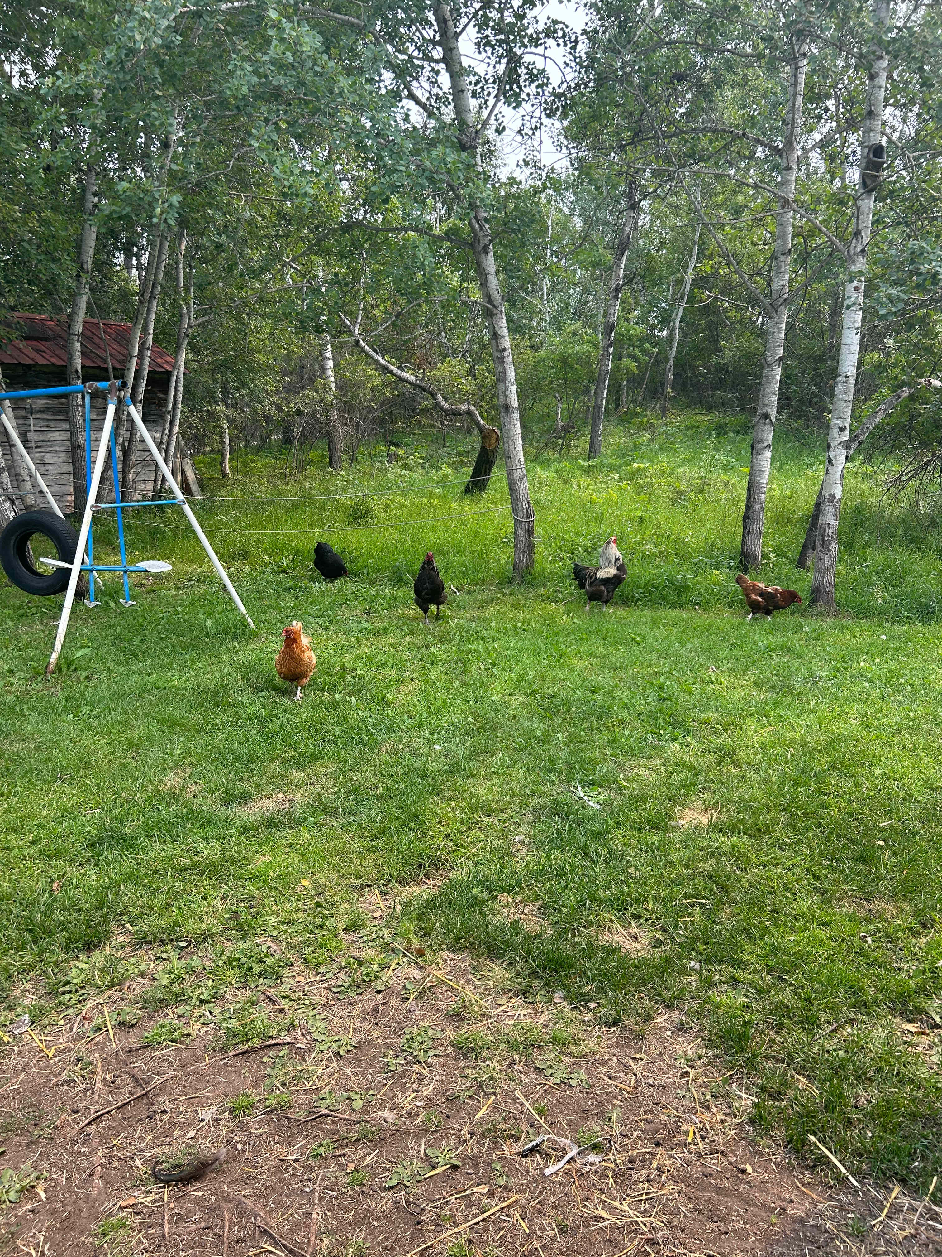 Hoof Hearted Family Acres