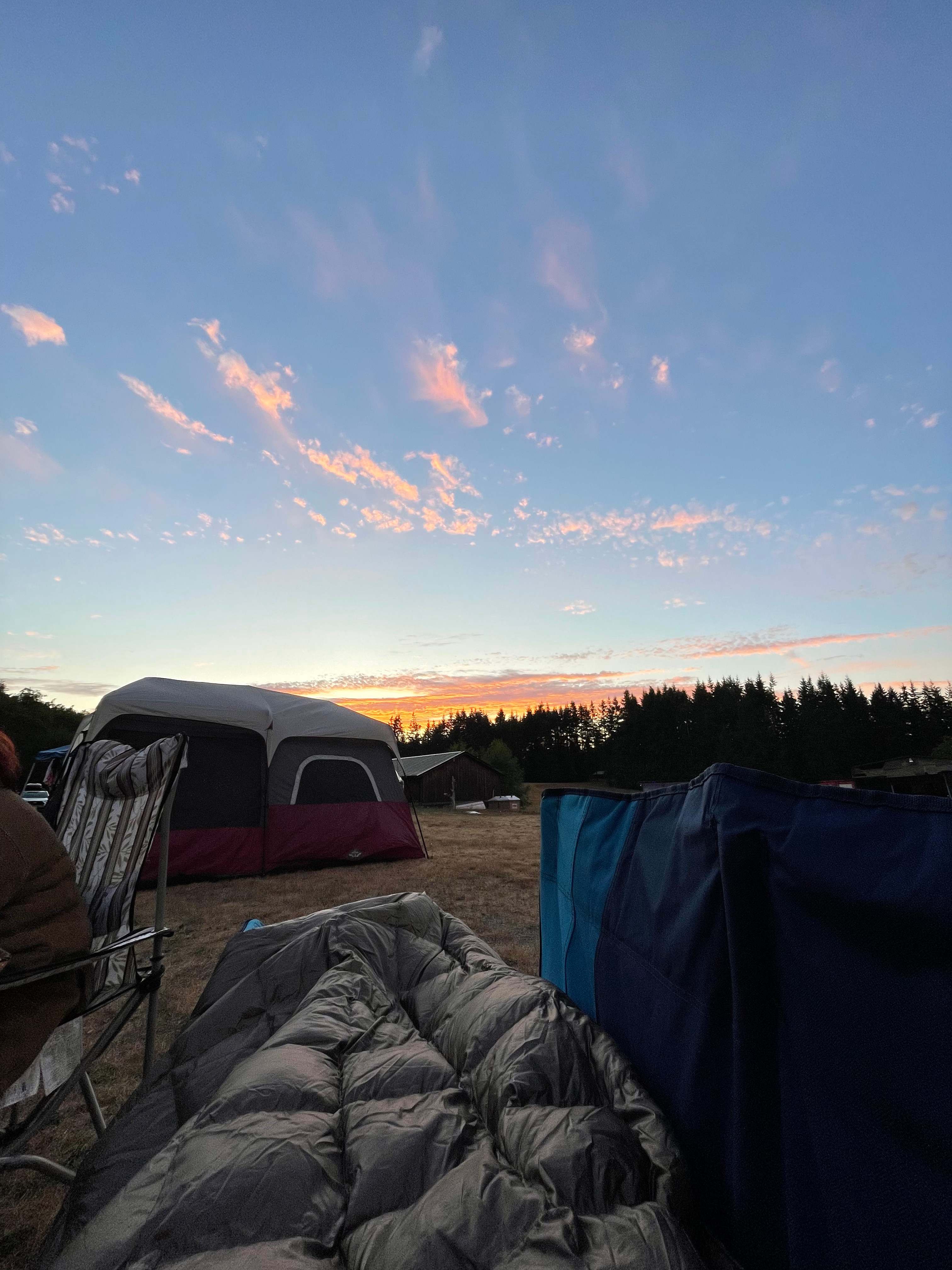 Fern Gully Camp