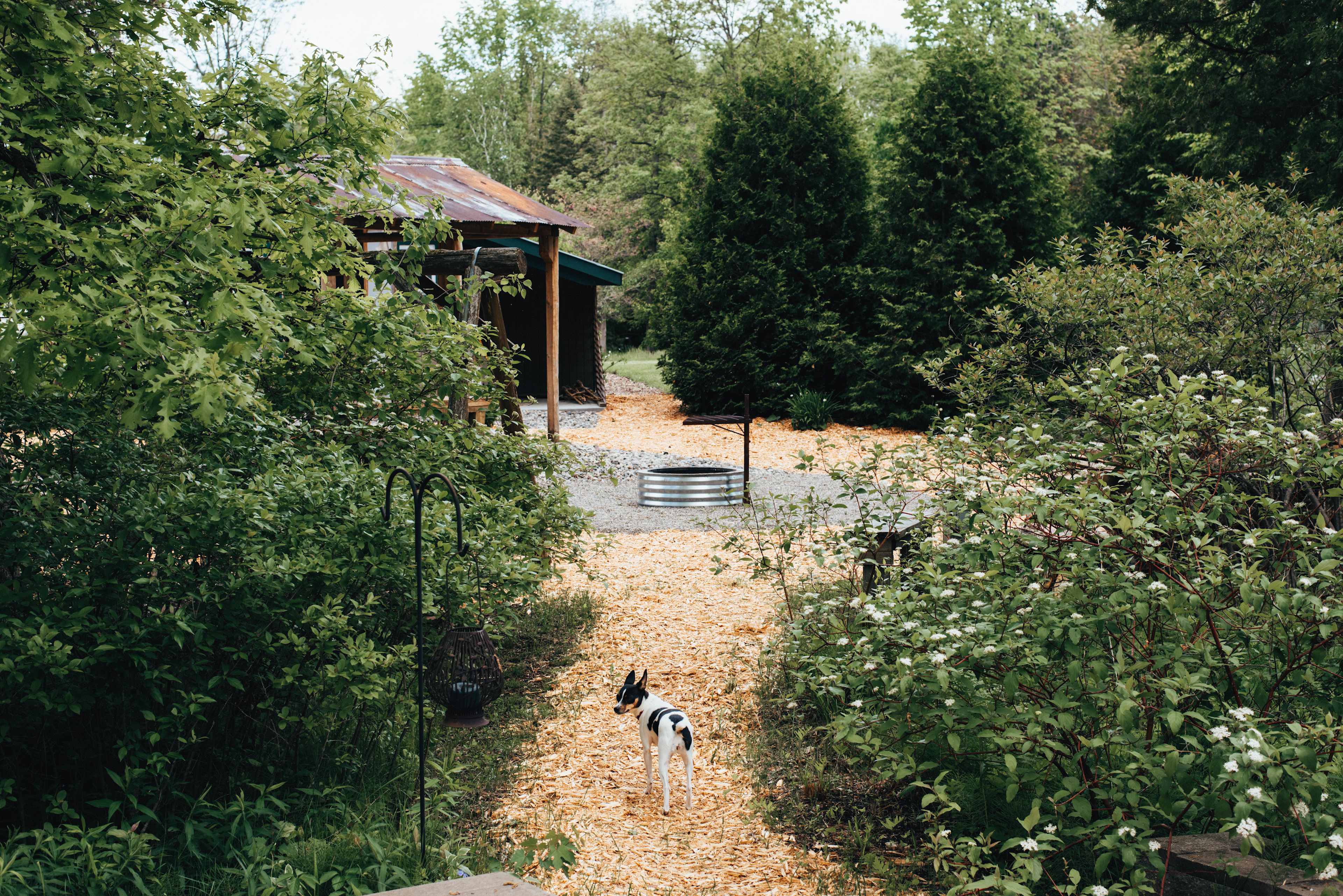 The path from your camper or tent to the fire ring, picnic table, toilets, and swing. 