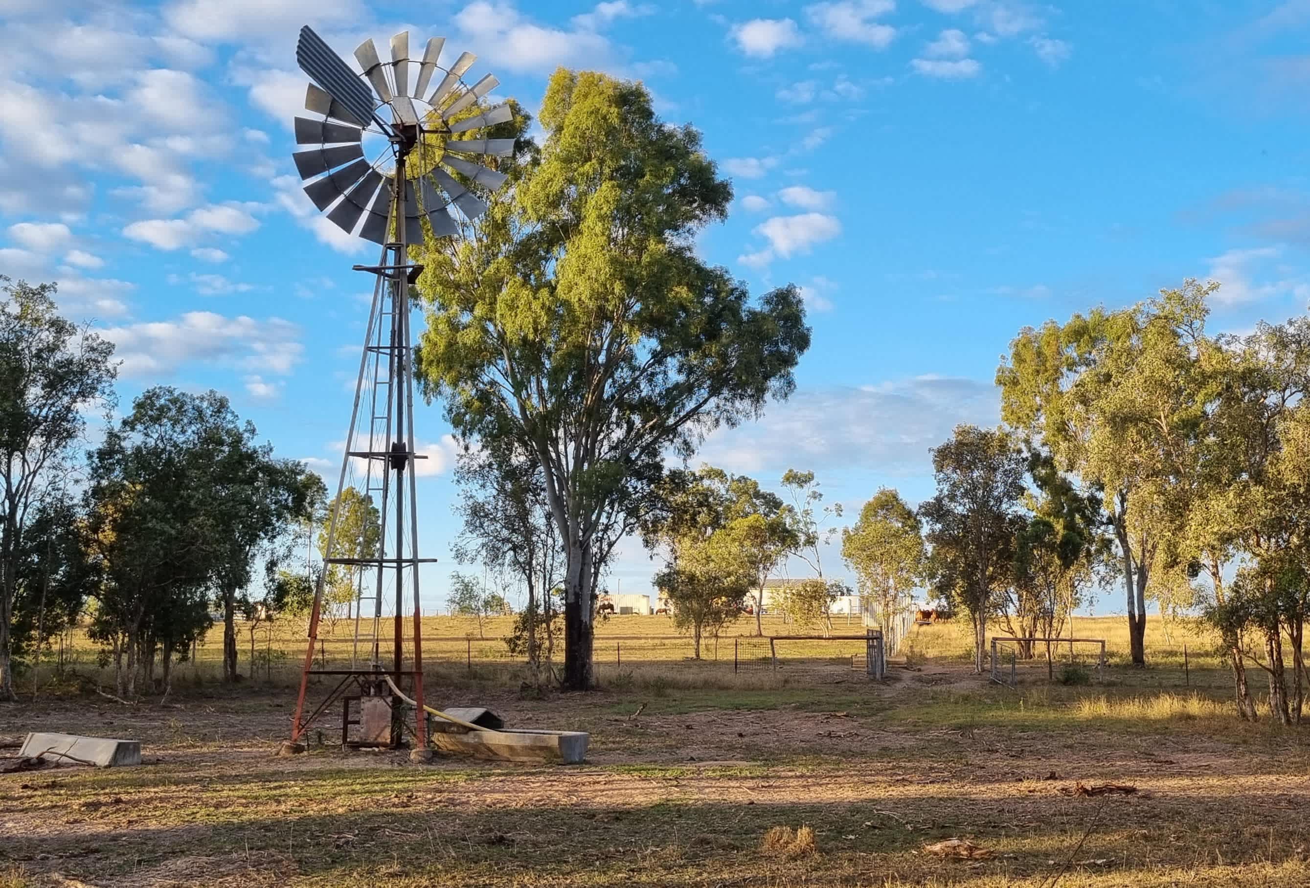 42 Beautiful peaceful Acres 