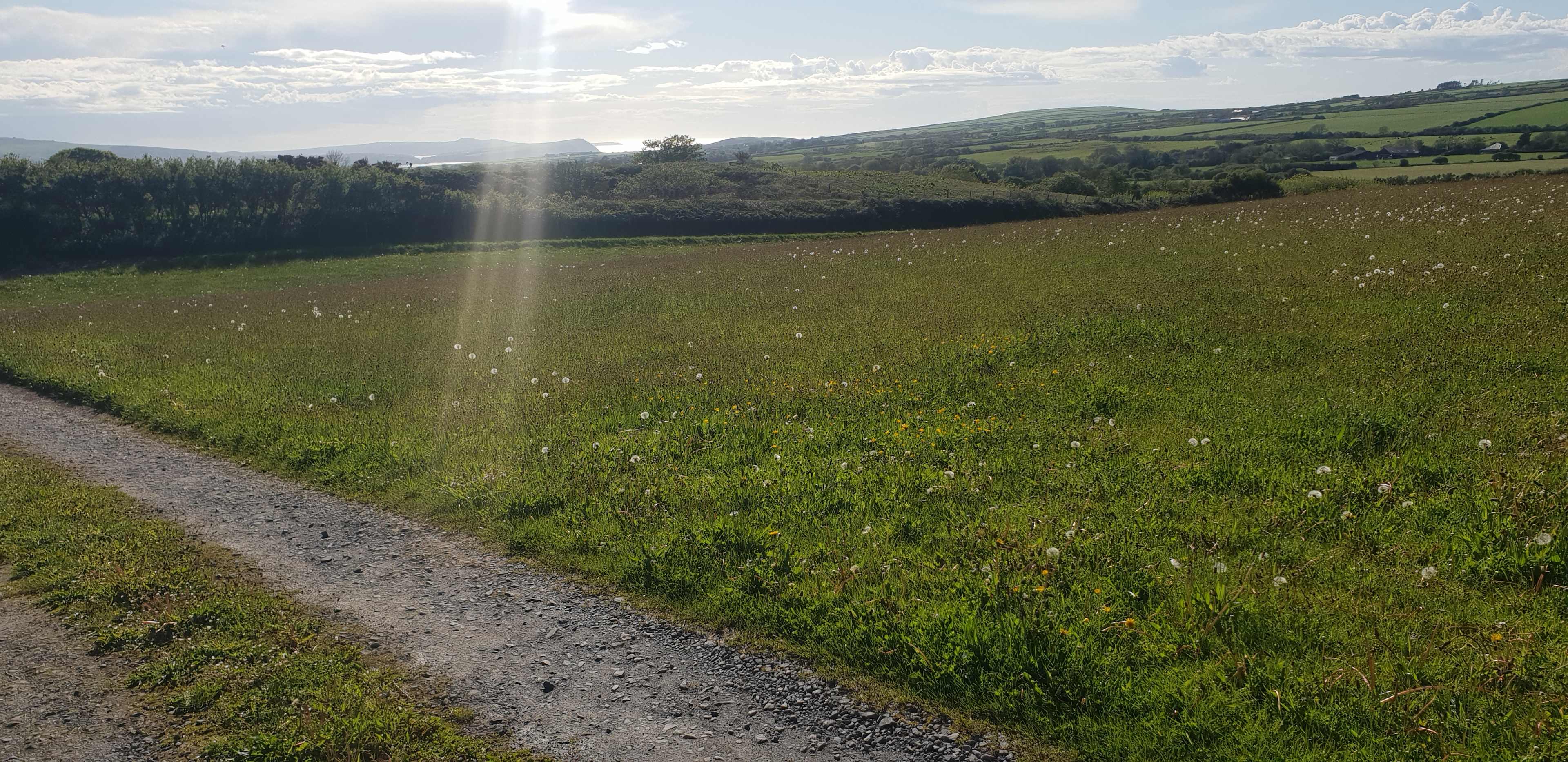 Sea views to Dinas head