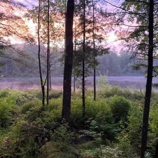 Wakonda Family Campground: Site B15