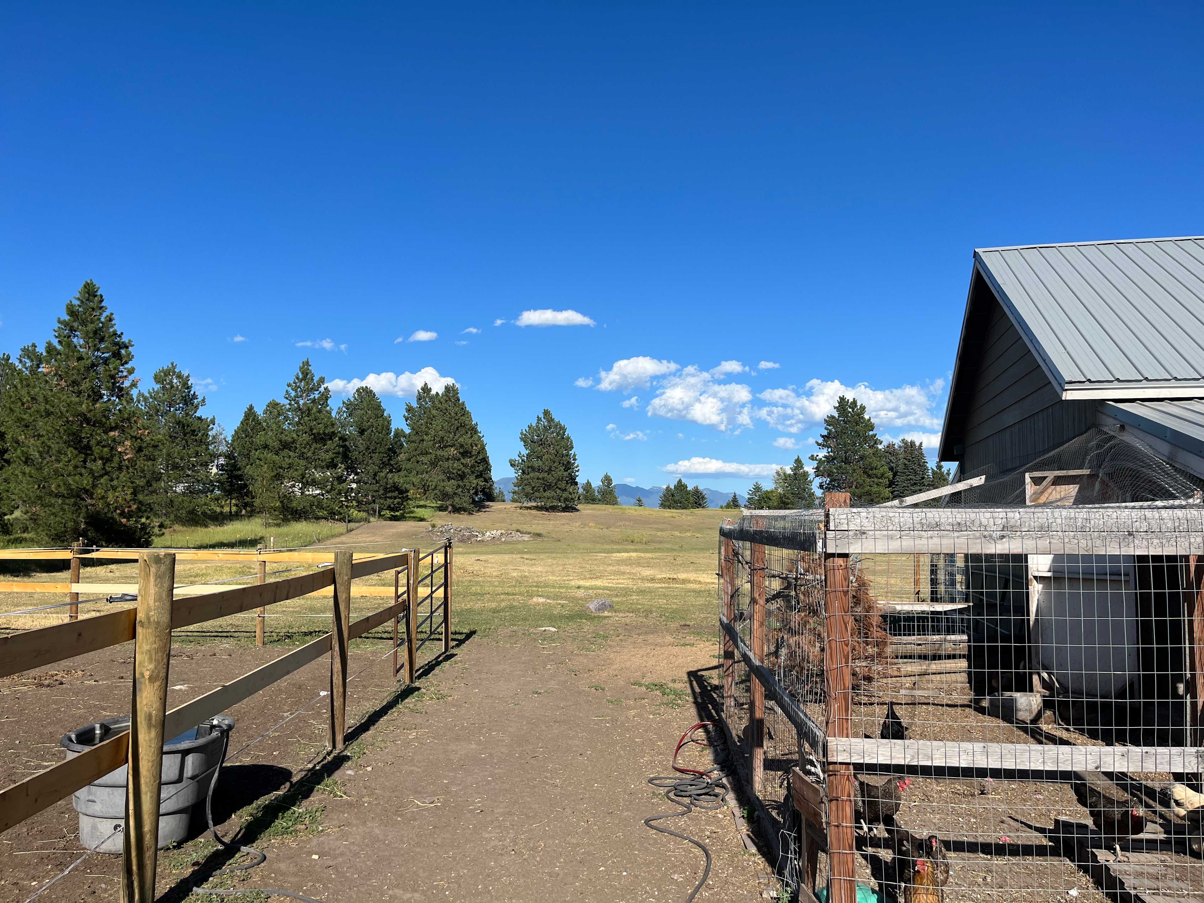 Pasture view from horse & chicken pens