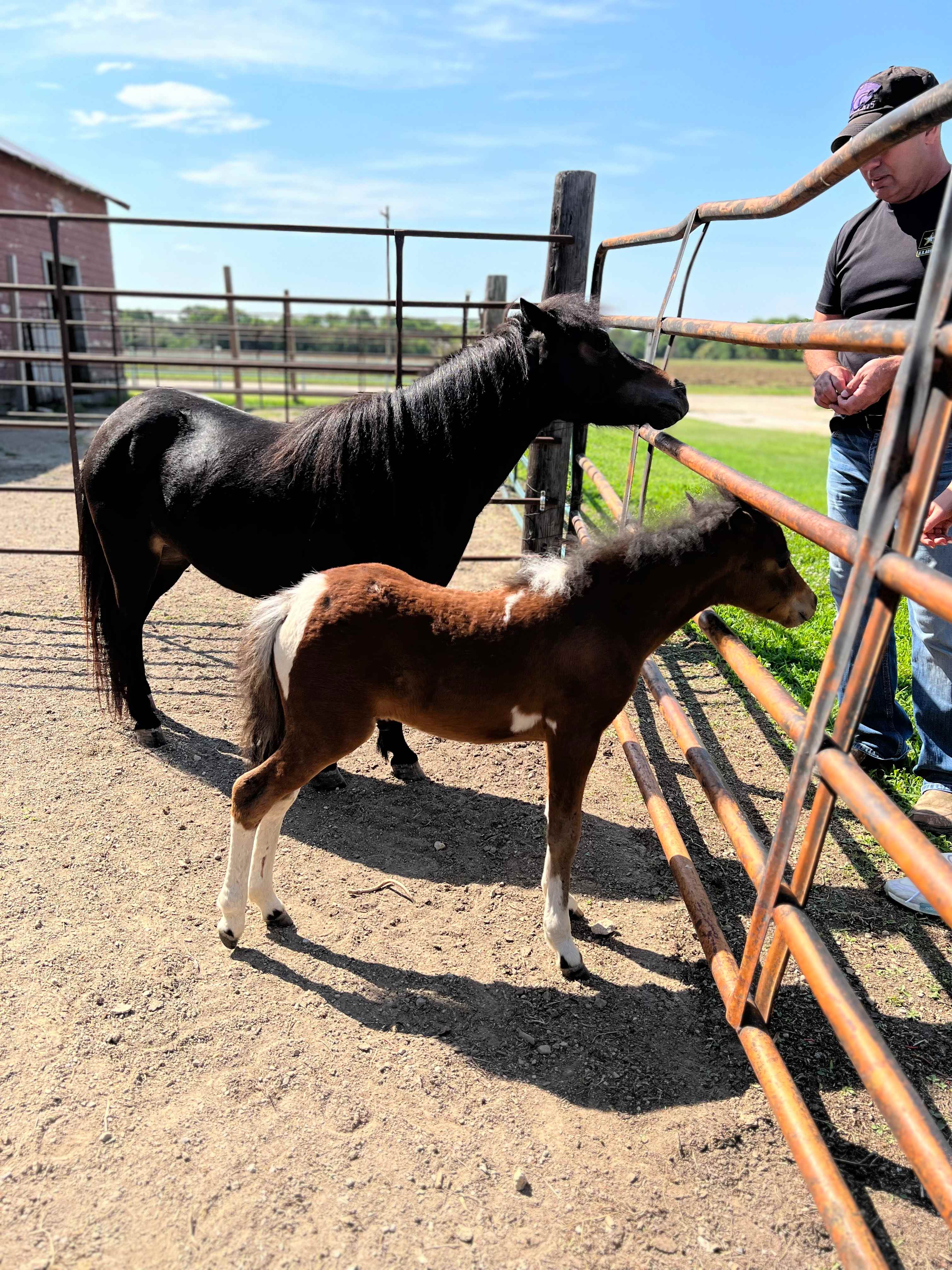 Equine Estates KS