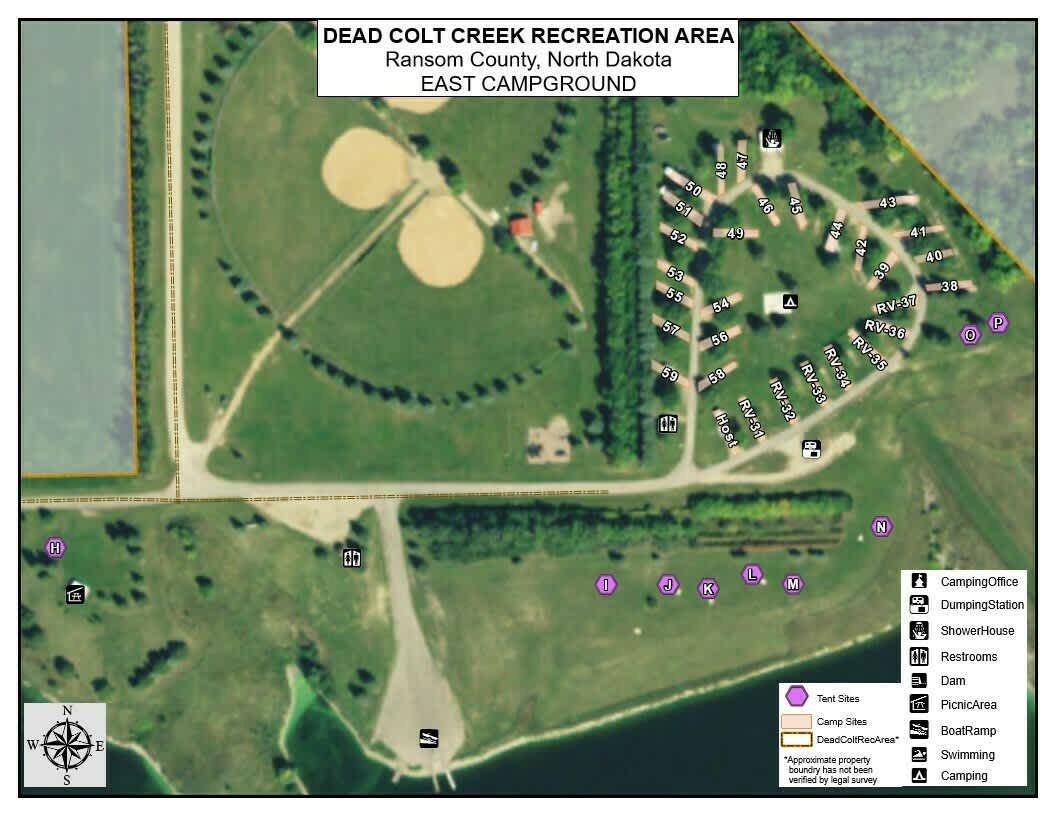 Picture of the site