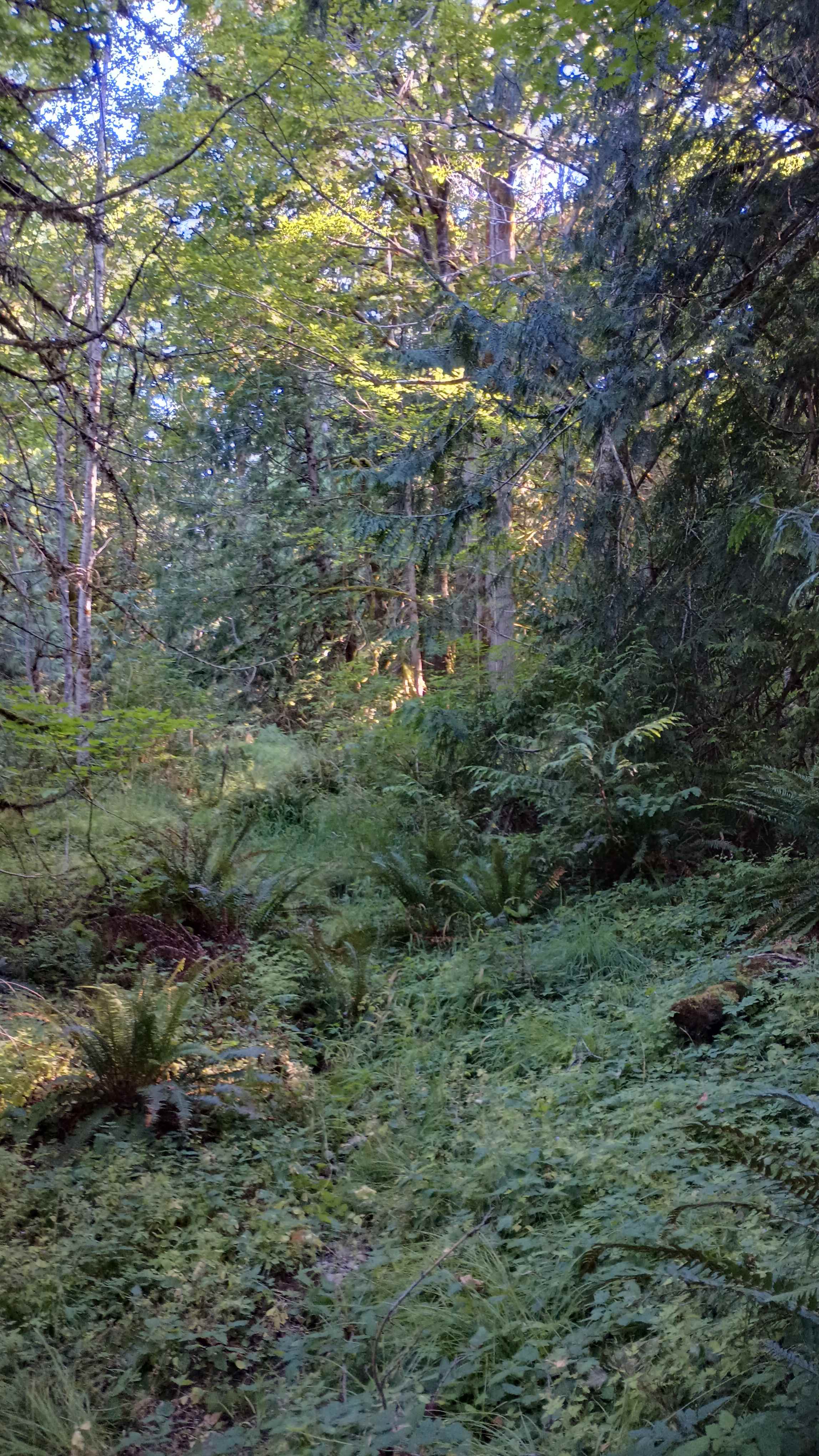 Ravens Ridge