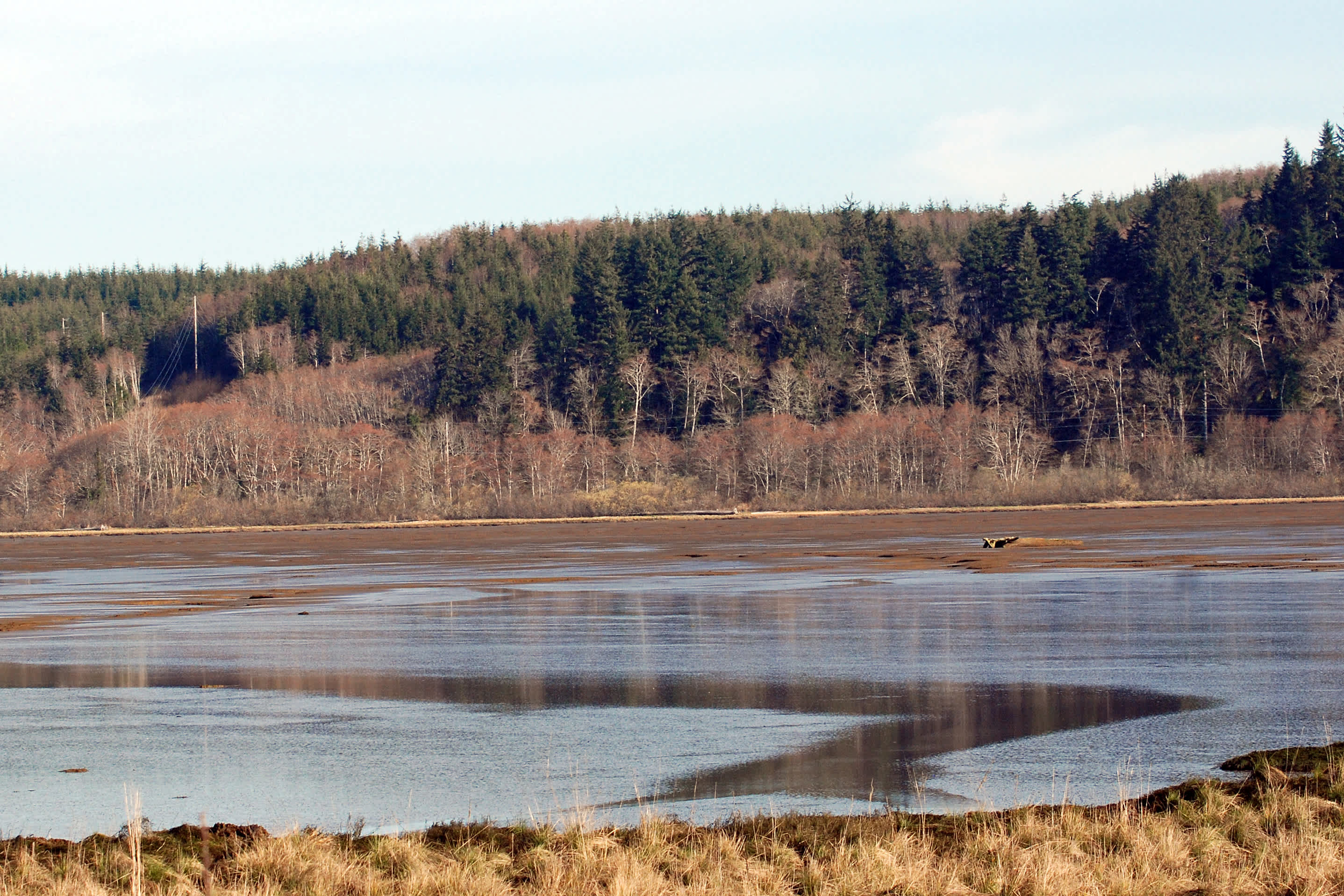 Grays Lake National Wildlife Refuge