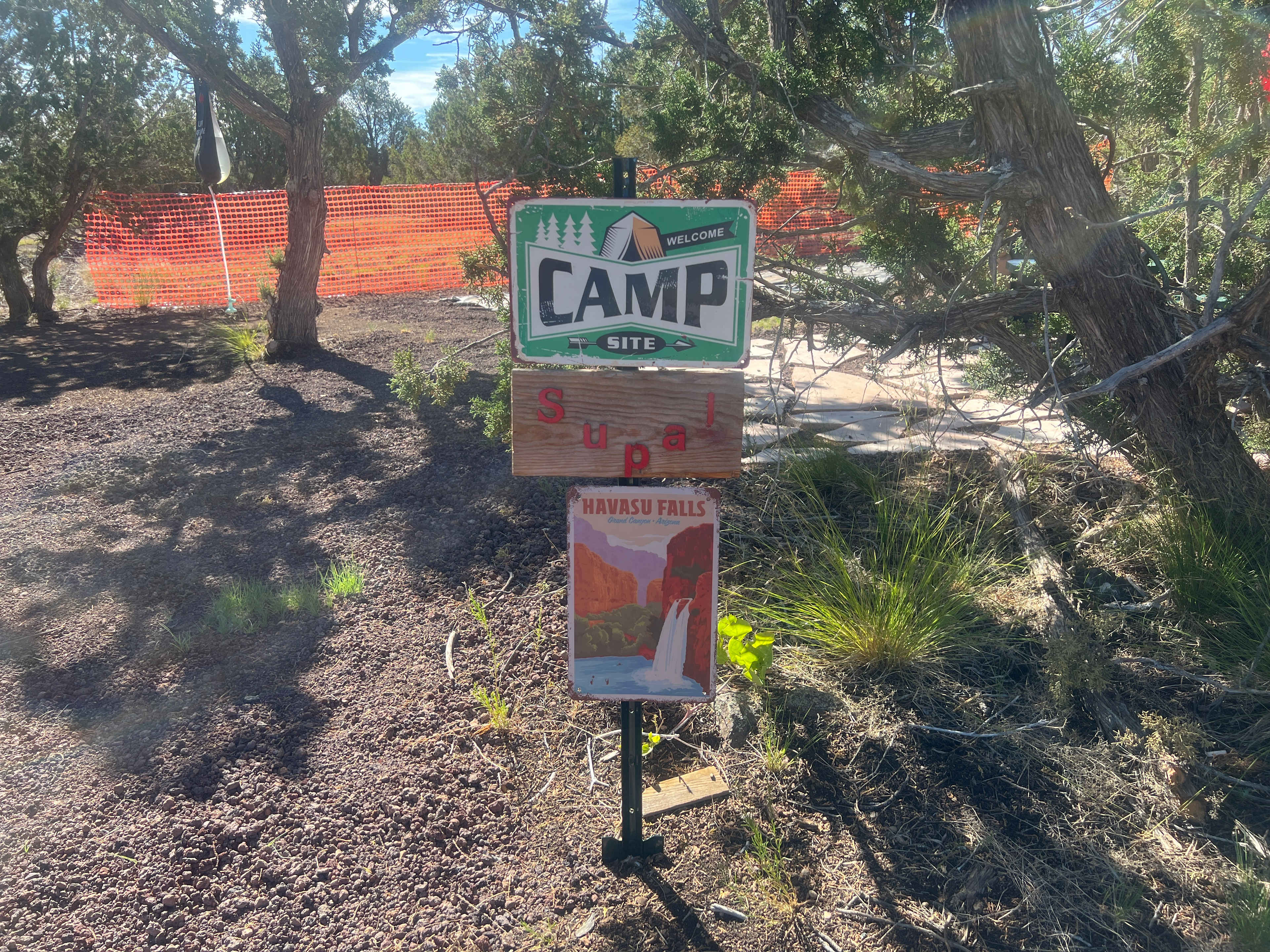Picture of the site