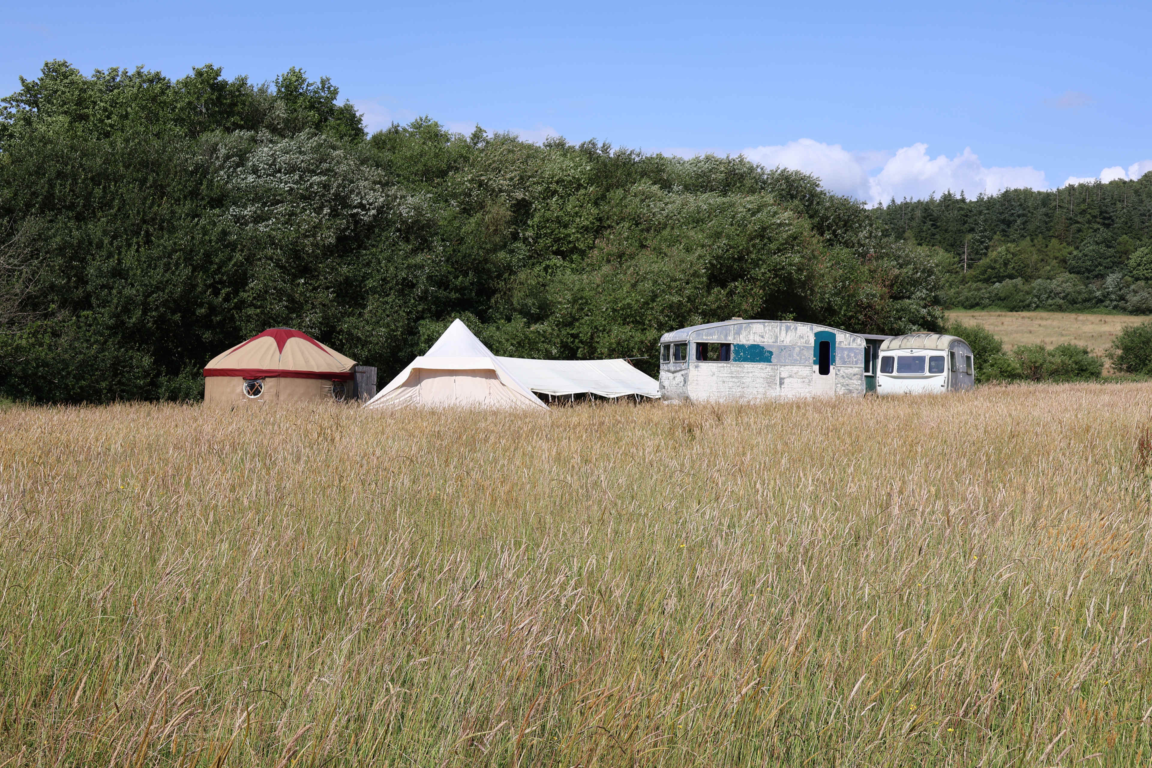 Brue Field, Gladwill Farm