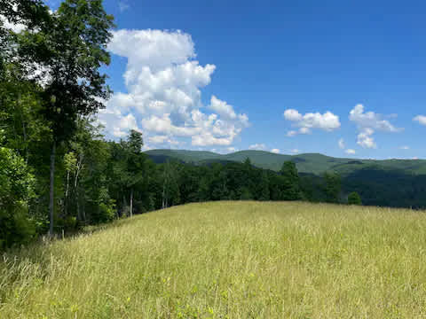 Misty Mountain Campground