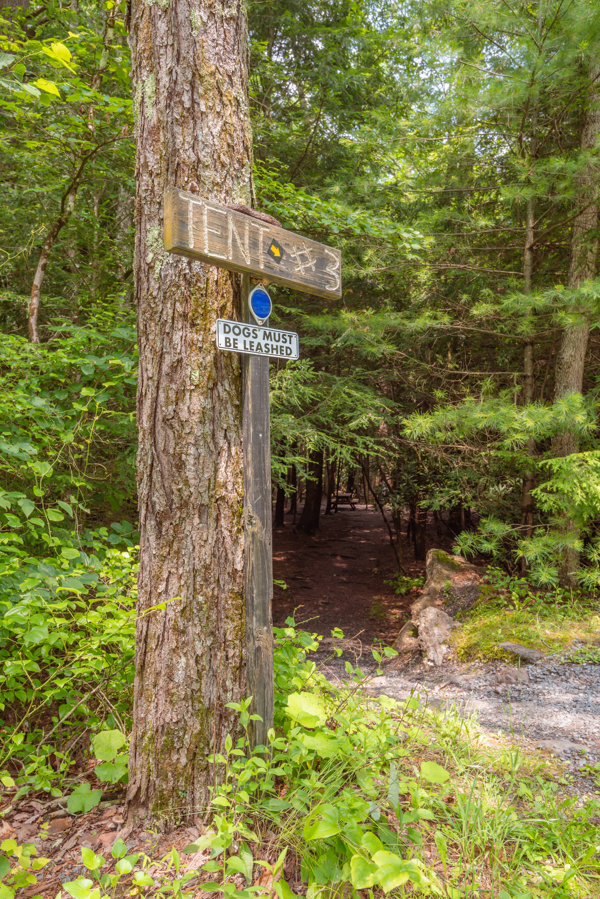 SIte 3 from the road.