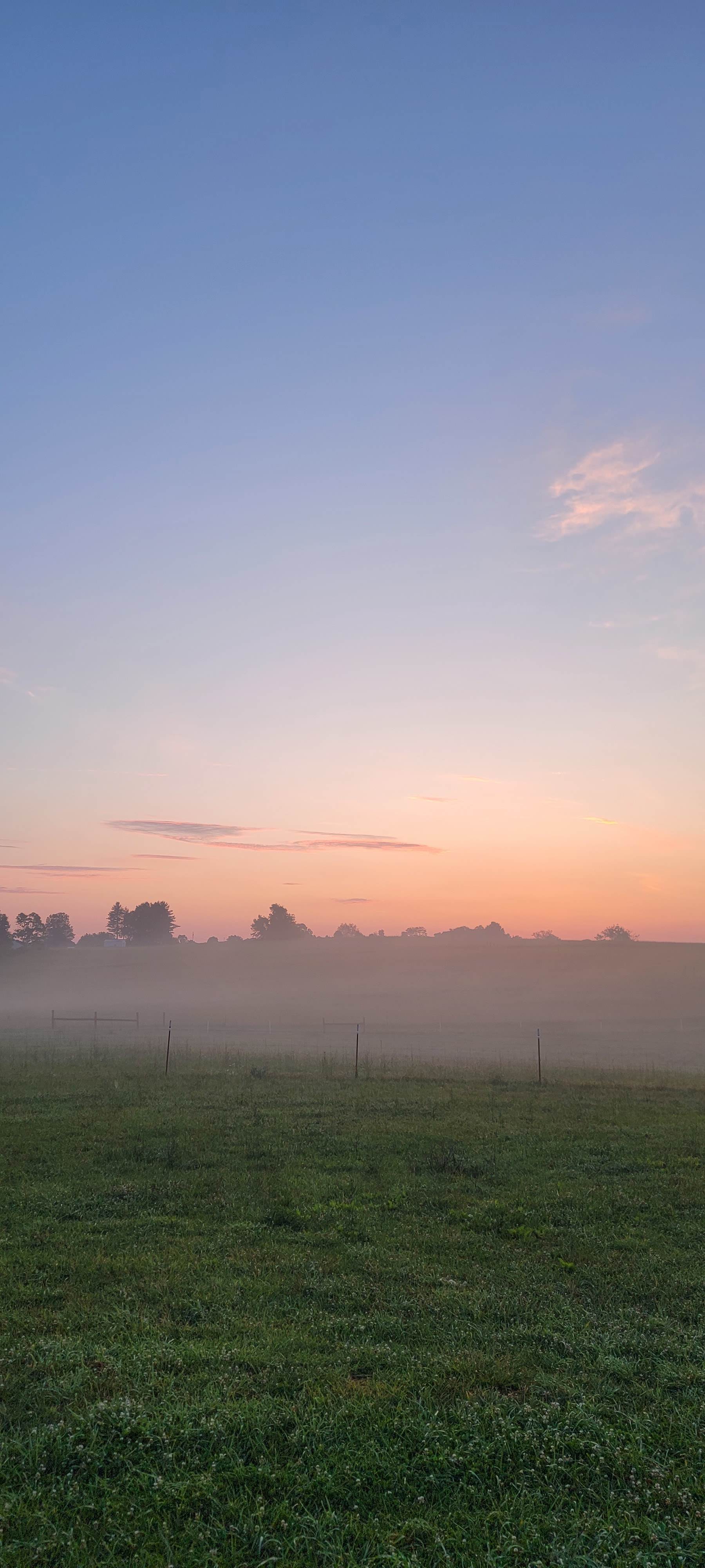 Wandering Wildlings Farm - Hipcamp in Rogersville, Tennessee