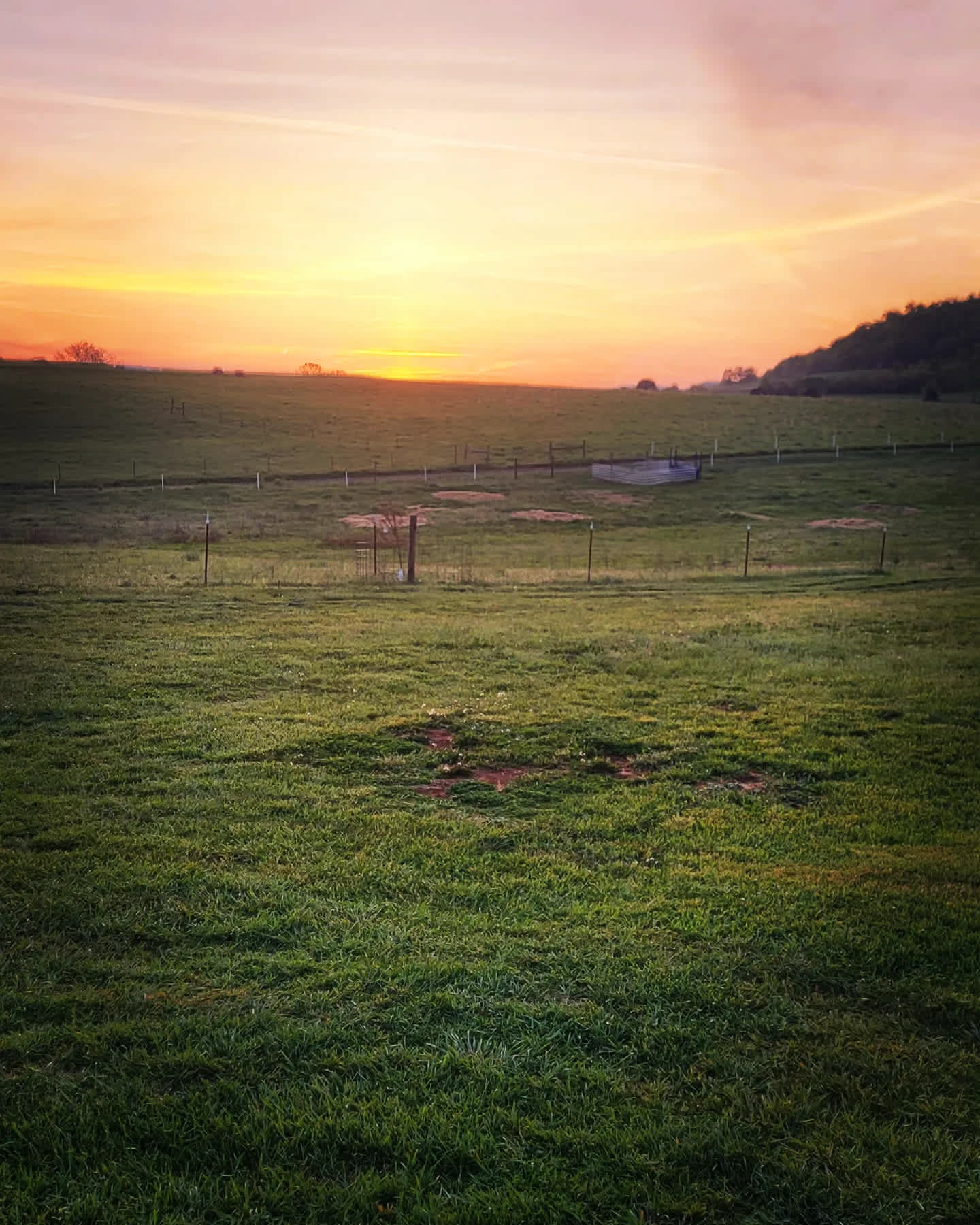 Wandering Wildlings Farm - Hipcamp in Rogersville, Tennessee