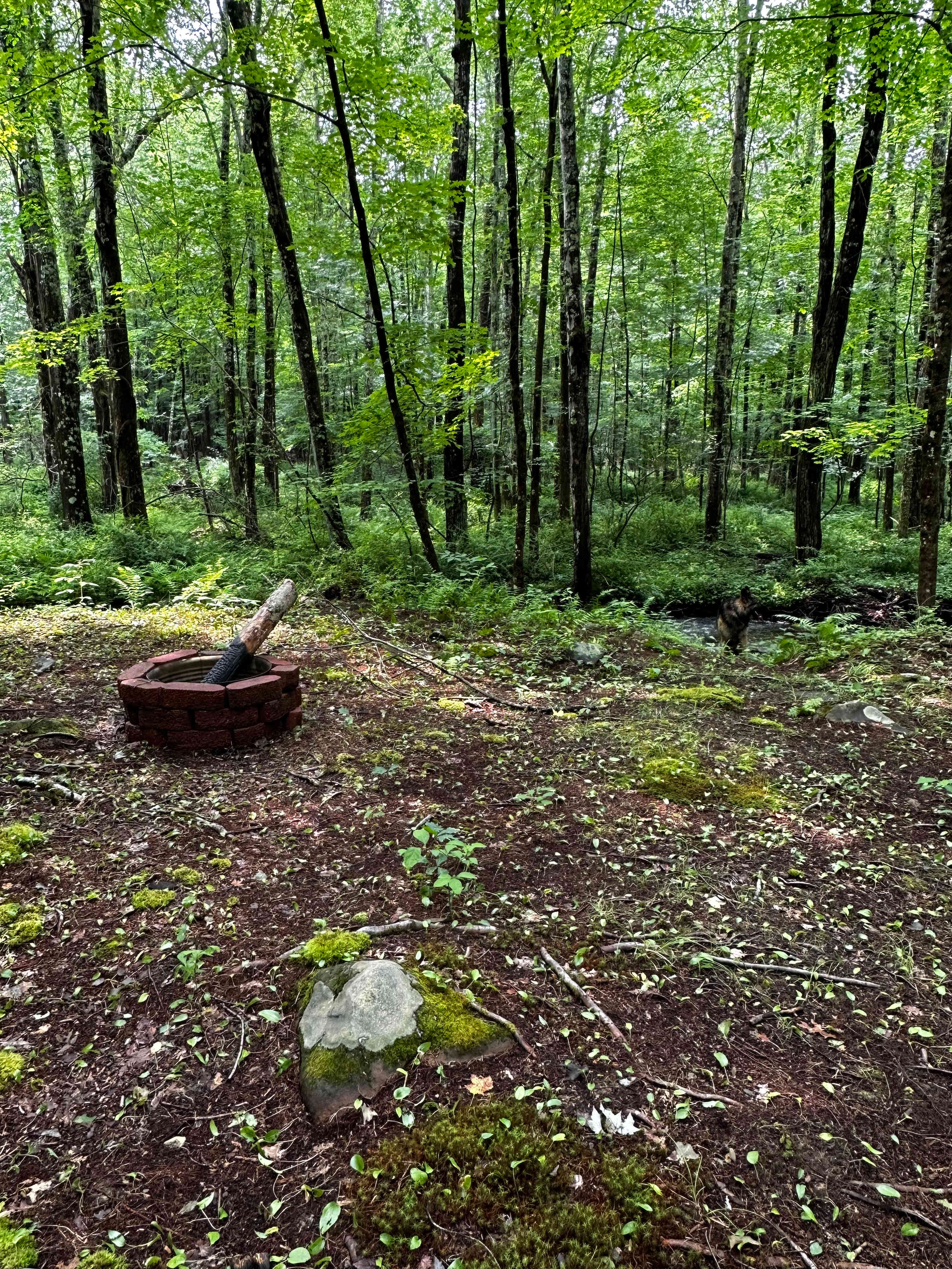 The Sanctuary At Blossom Dell