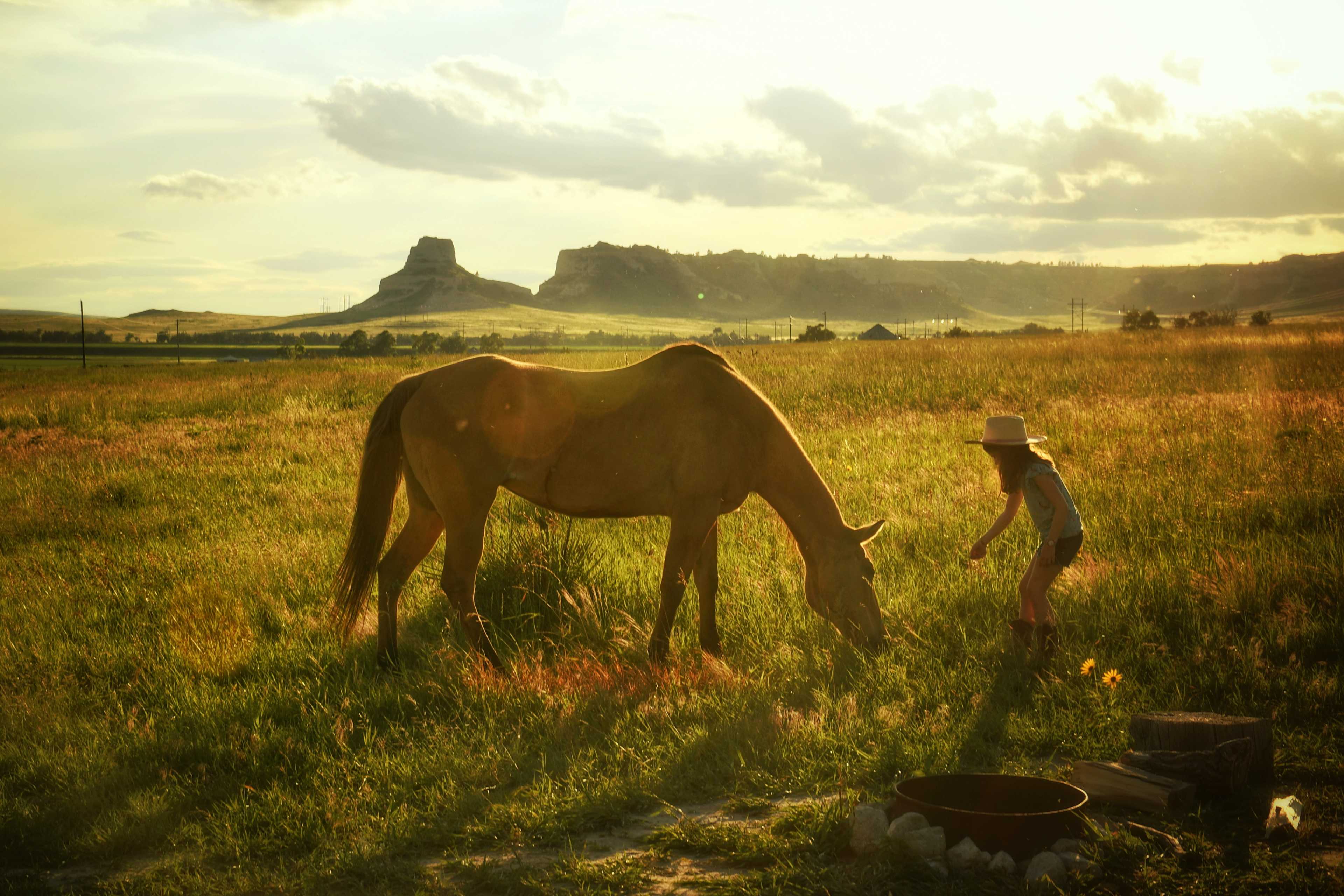 Peaceful Prairie Campsites