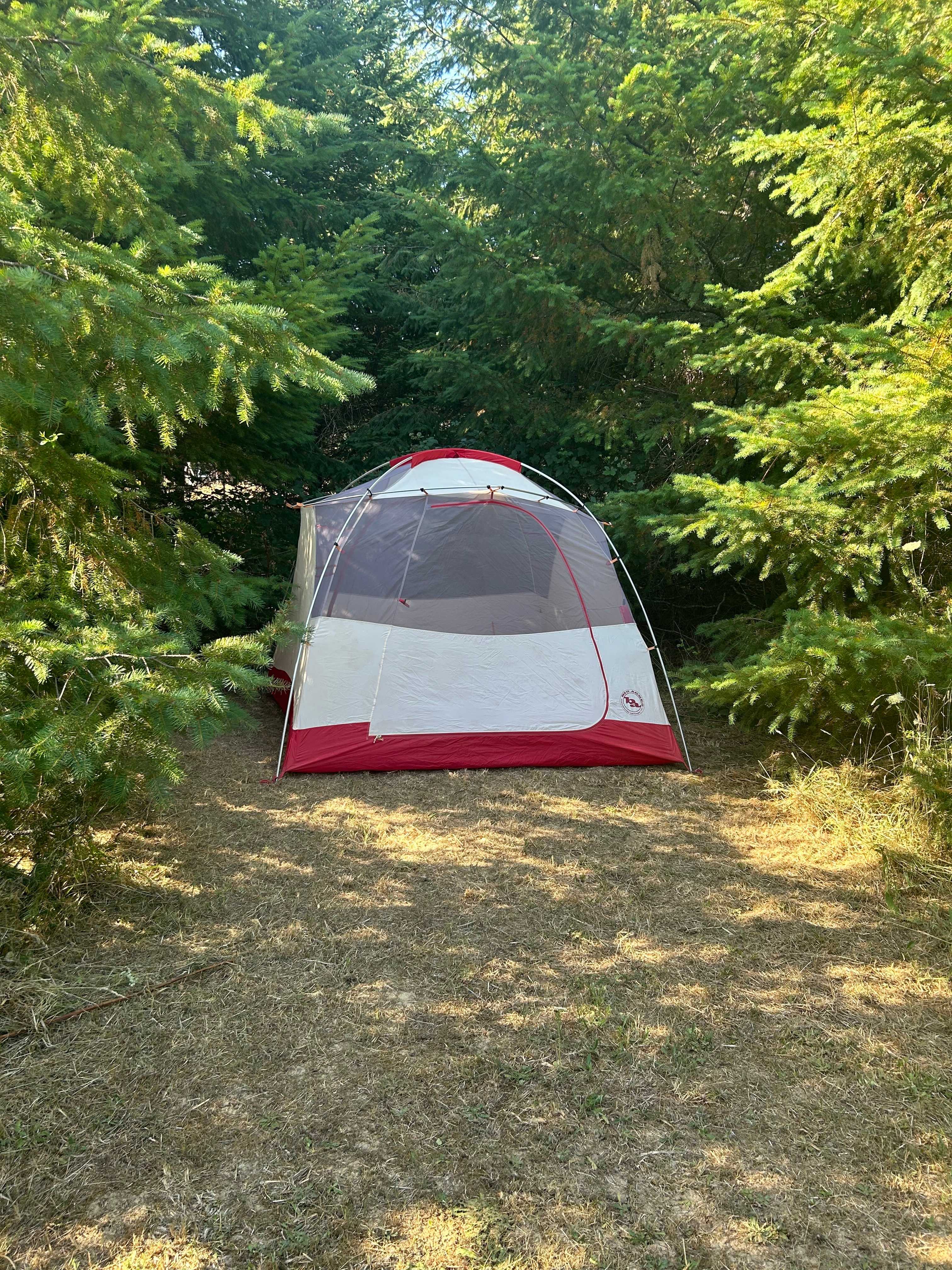 Meadow View Site