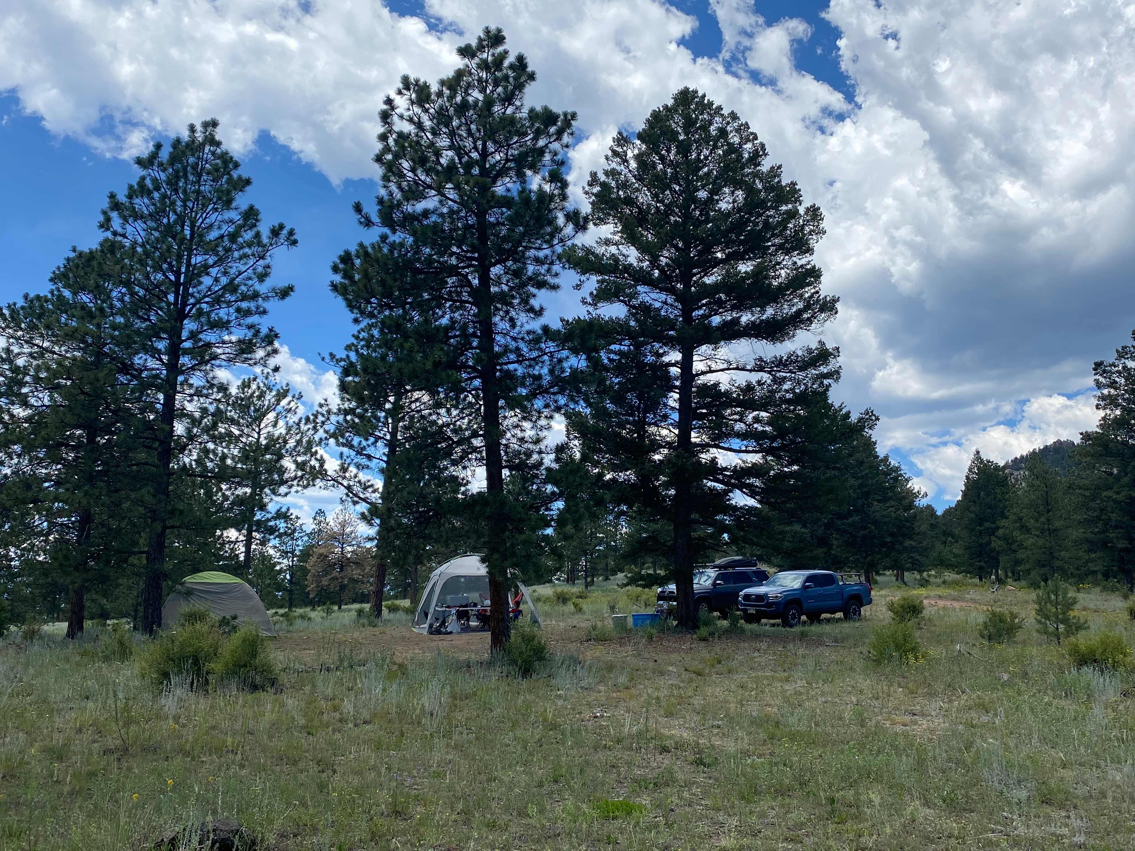 Serenity in the Foothills